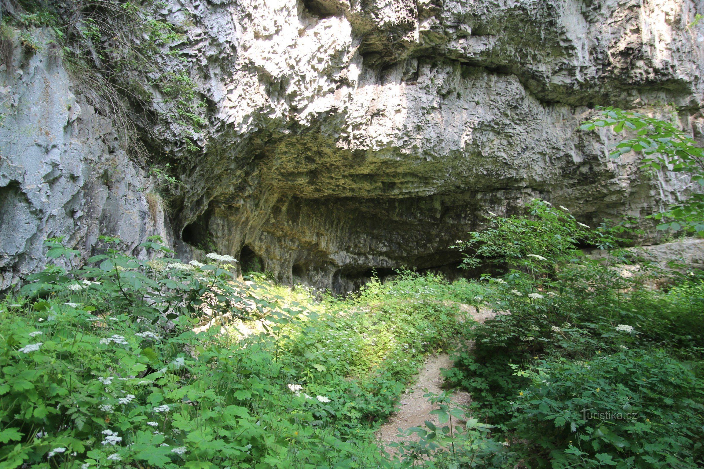 洞窟の入り口の上の岩の張り出し