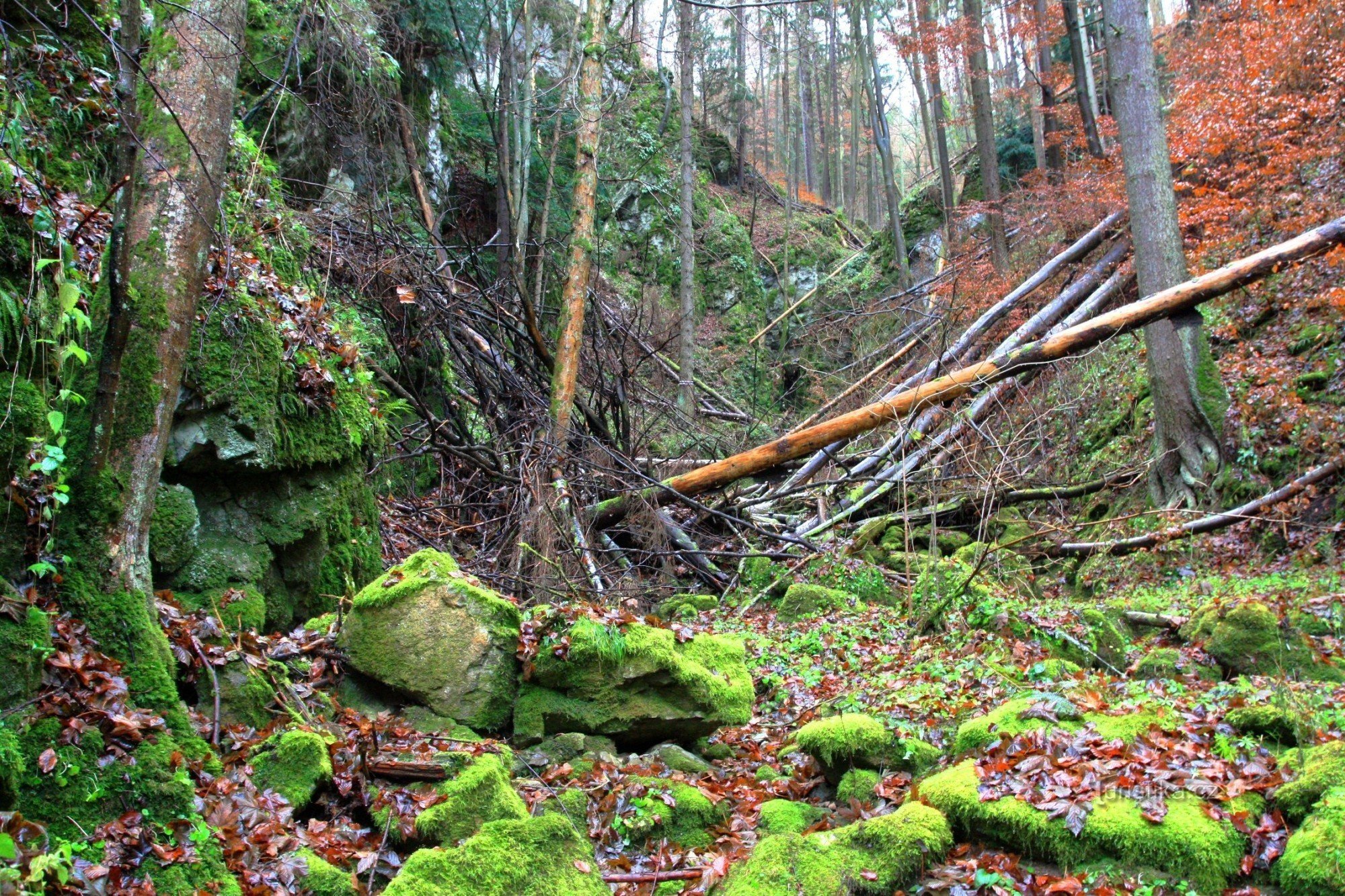 Garganta de roca del infierno