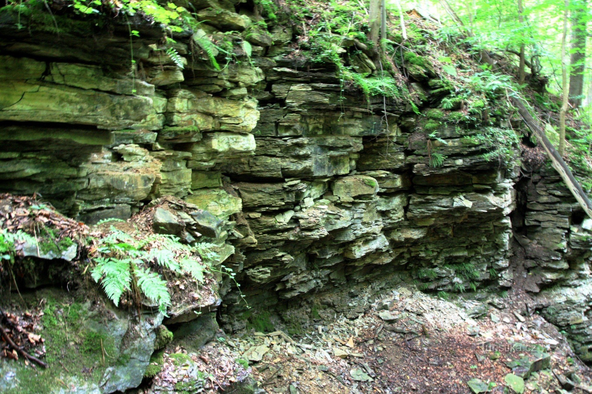 Mur de roche à Devil's Ravine
