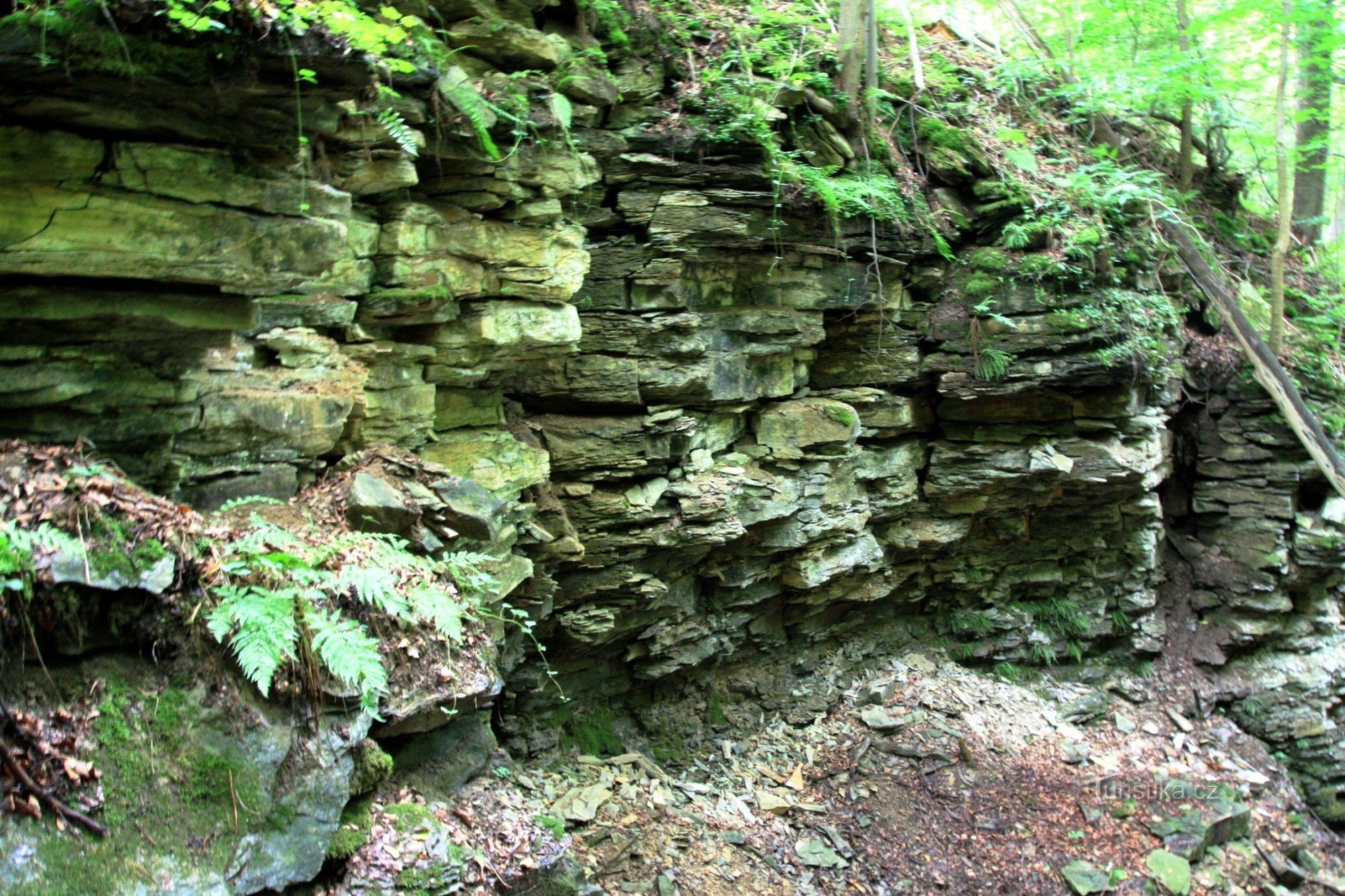 Felswand in Devil's Ravine