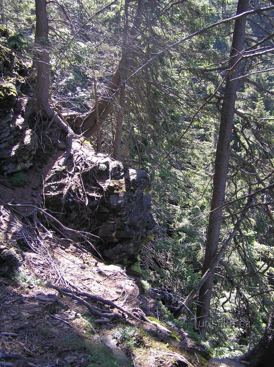 klippevægge i skoven over et vandfald