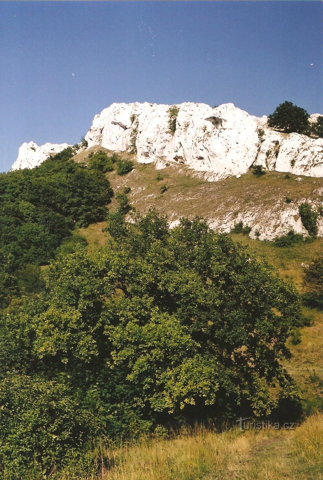 Paredes de roca en el desfiladero