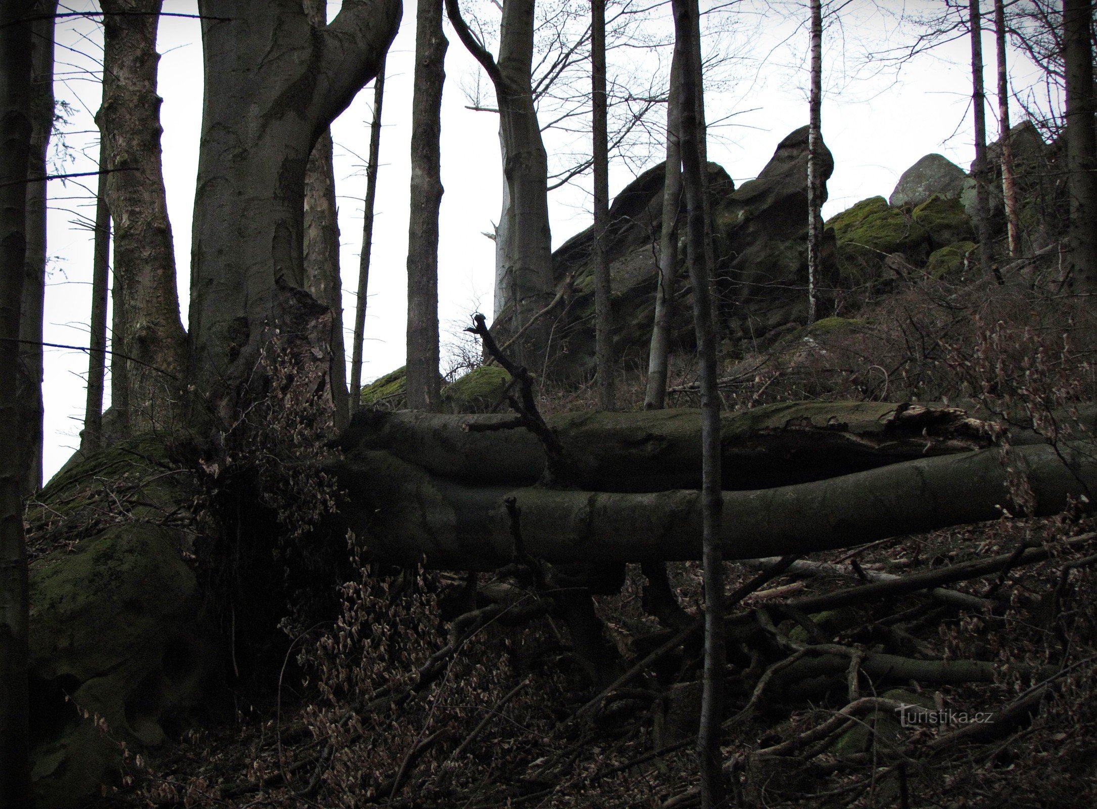 The rock guard of Stráž hill