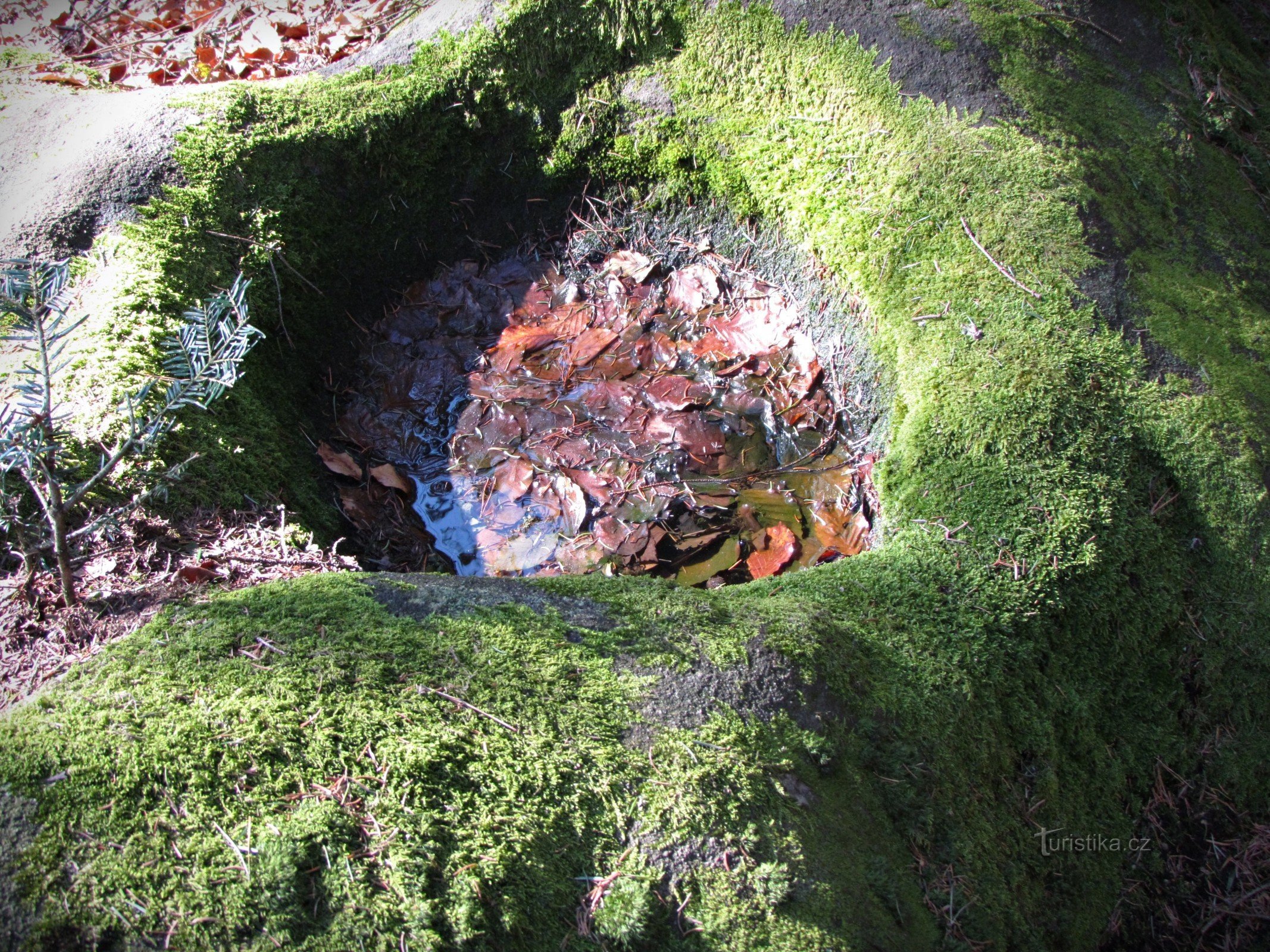 Skalní studánka na Lázu ve Vizovických vrších