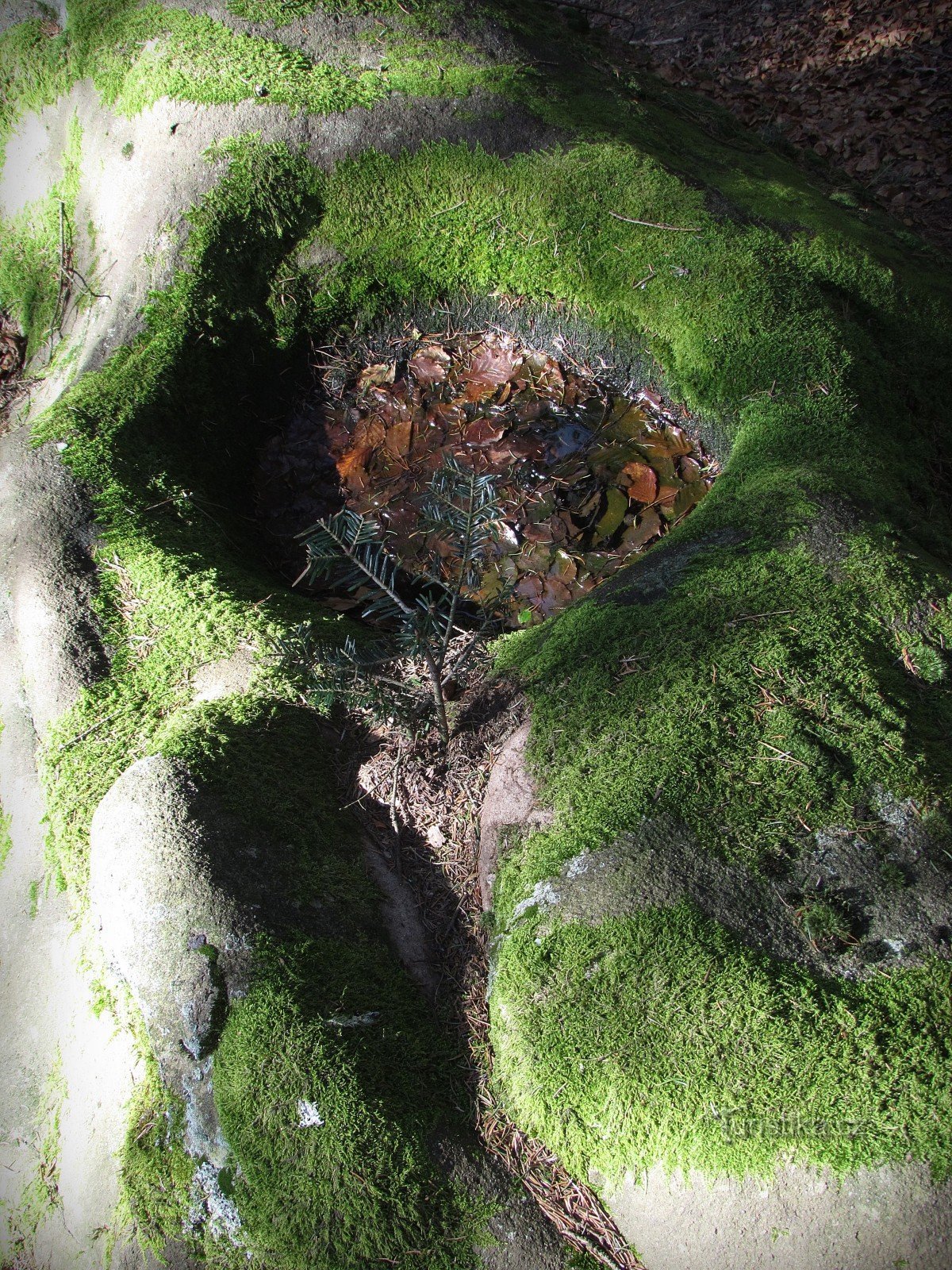 Скальный колодец в Лазе на Визовицких холмах