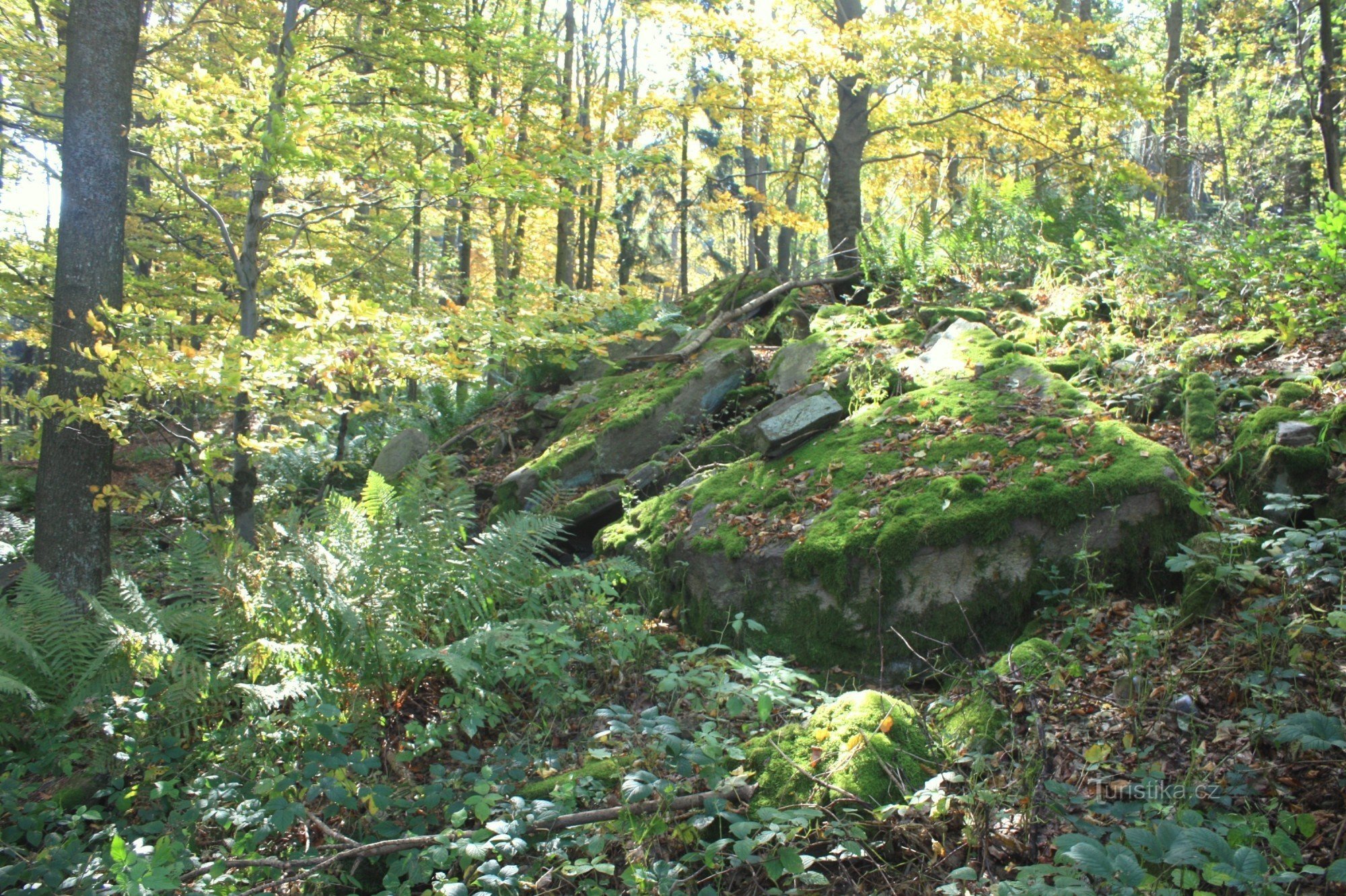 Rock rubble on the edge of the ridge