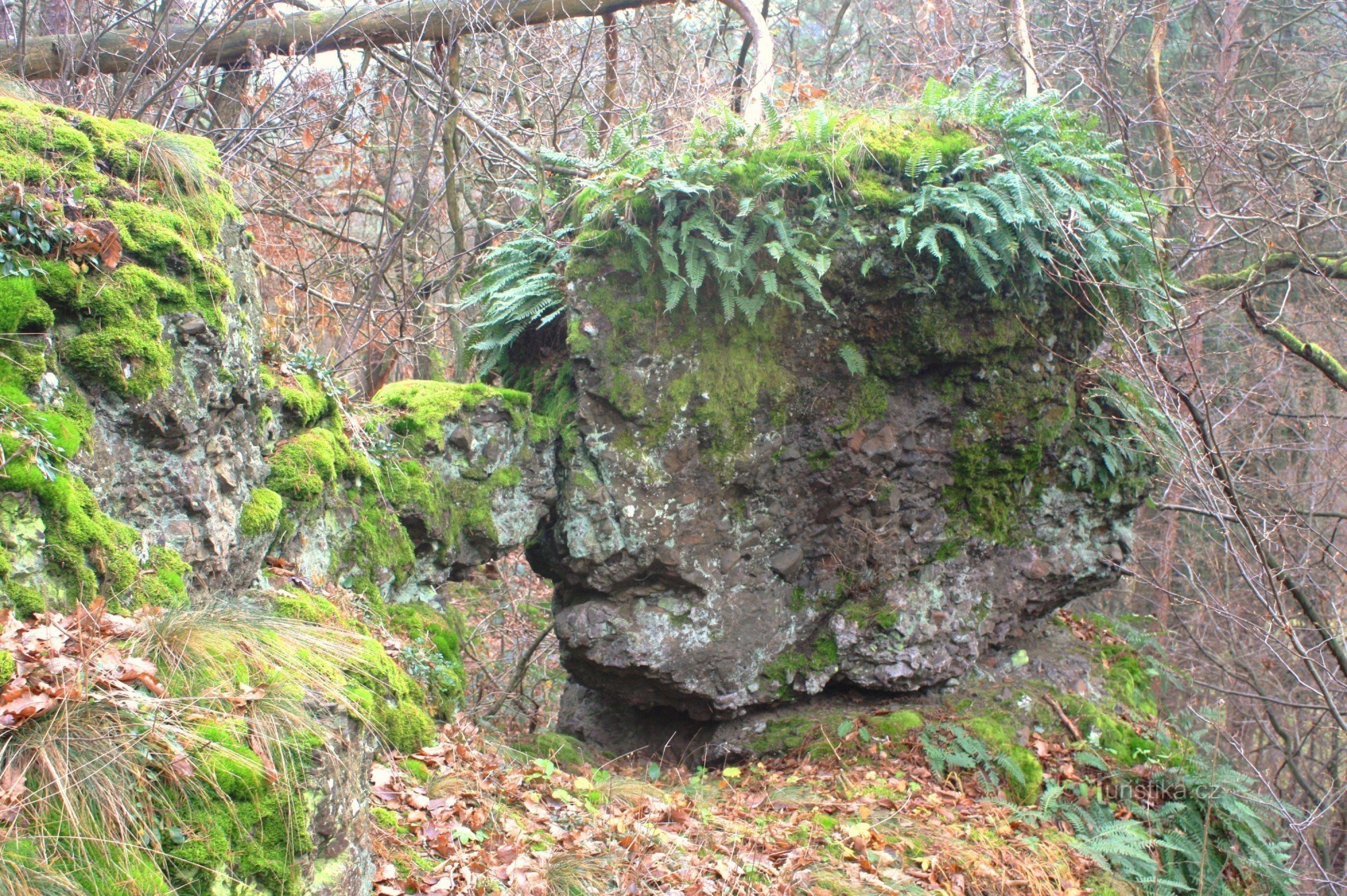 巨人の頭の岩層