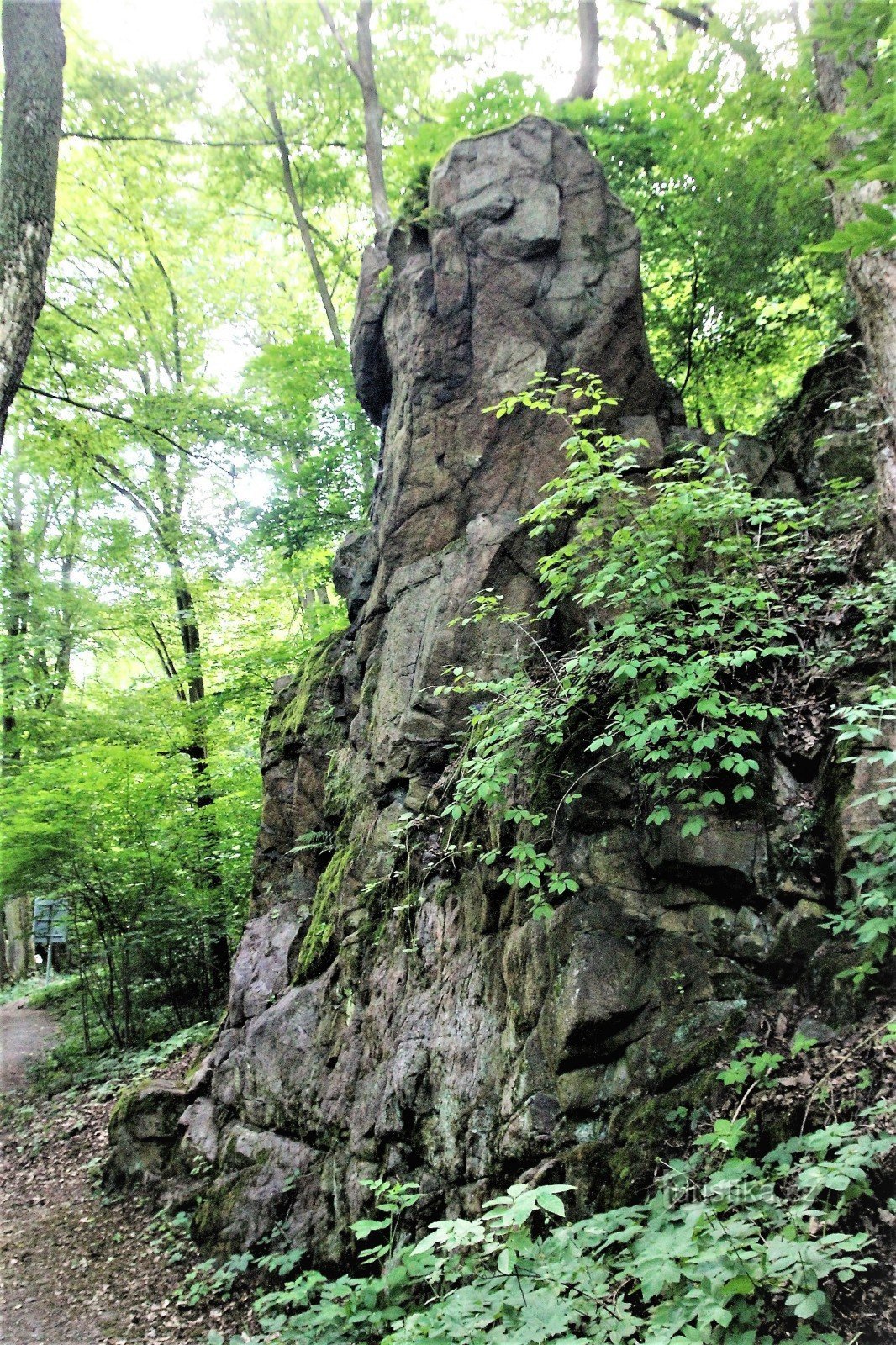 Sphinx rock formation in early summer