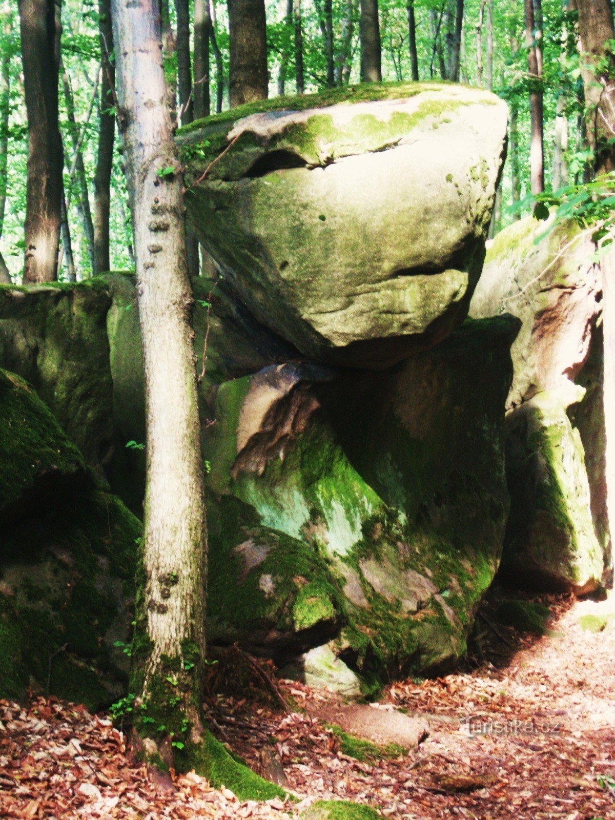 Formations rocheuses des collines Hostýn