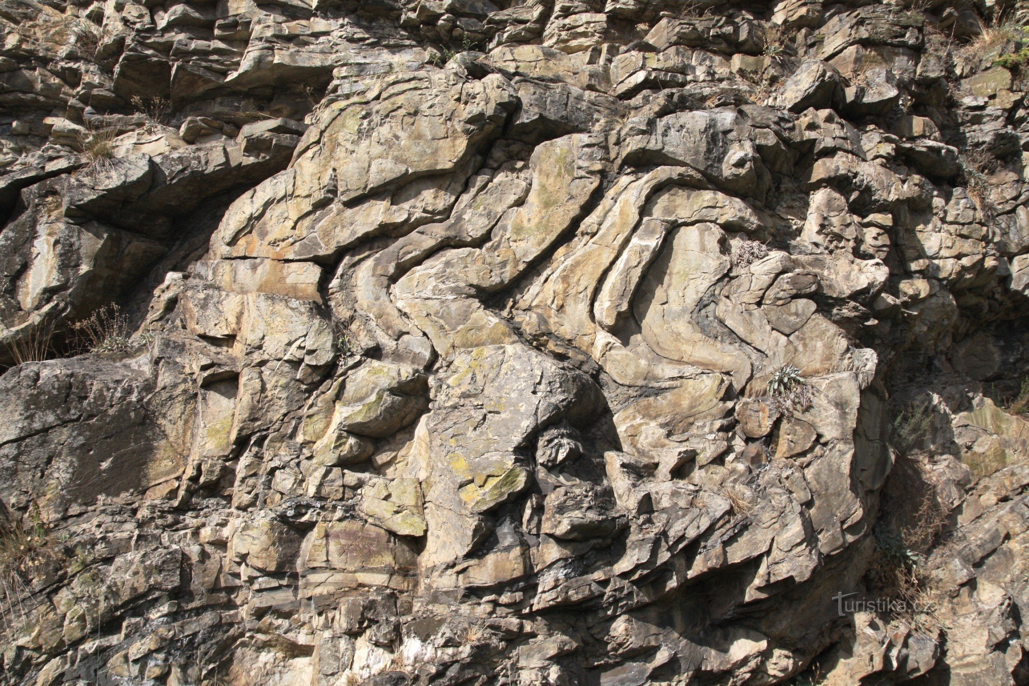 Rock folds