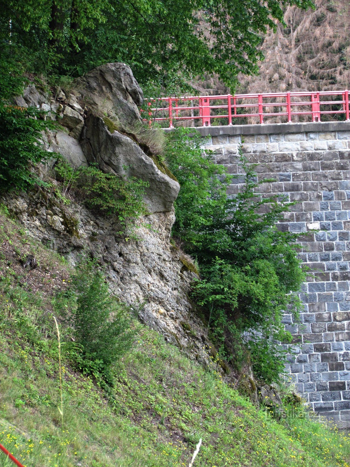 岩の露頭