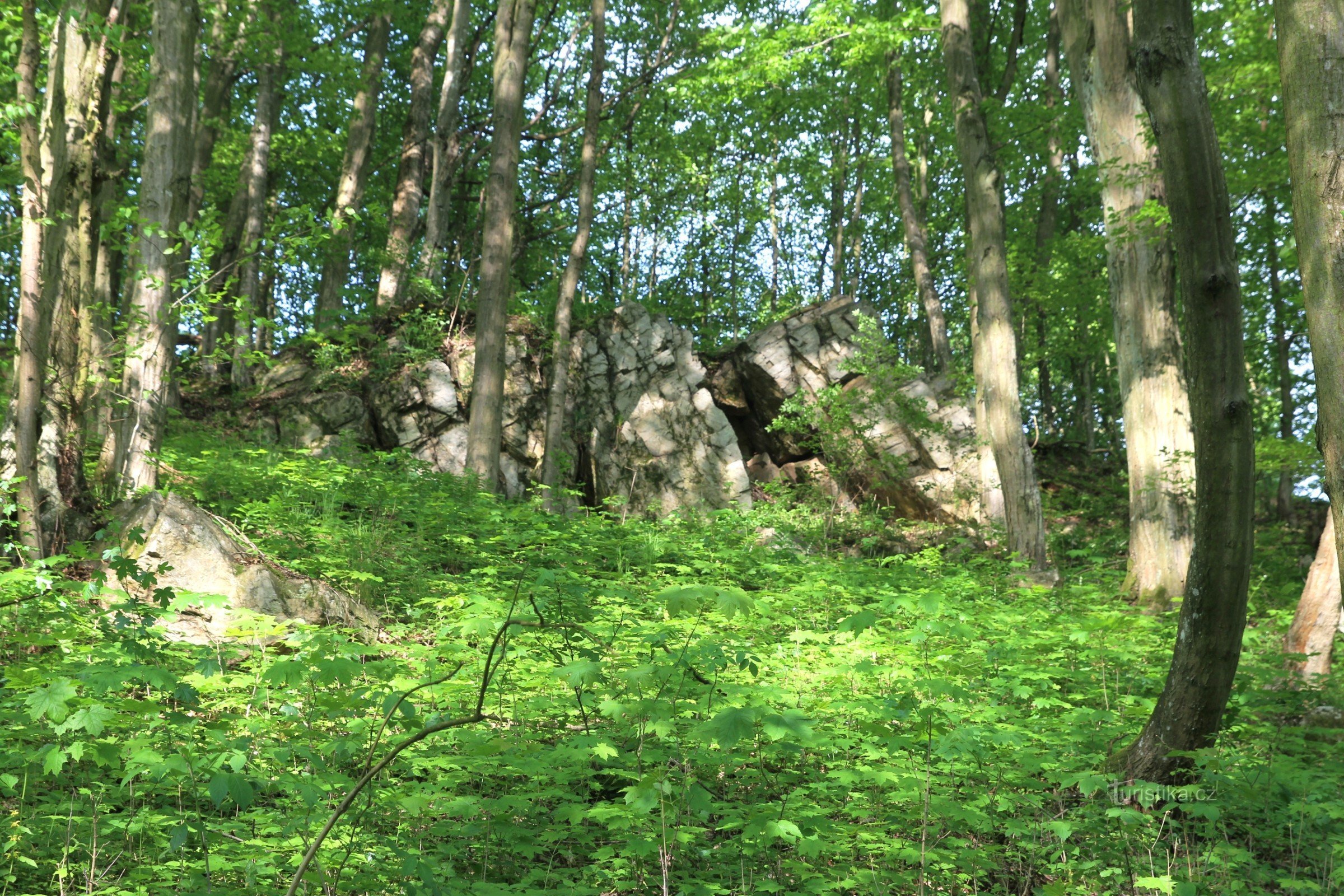 ファルコフ近くの石英の岩の露頭