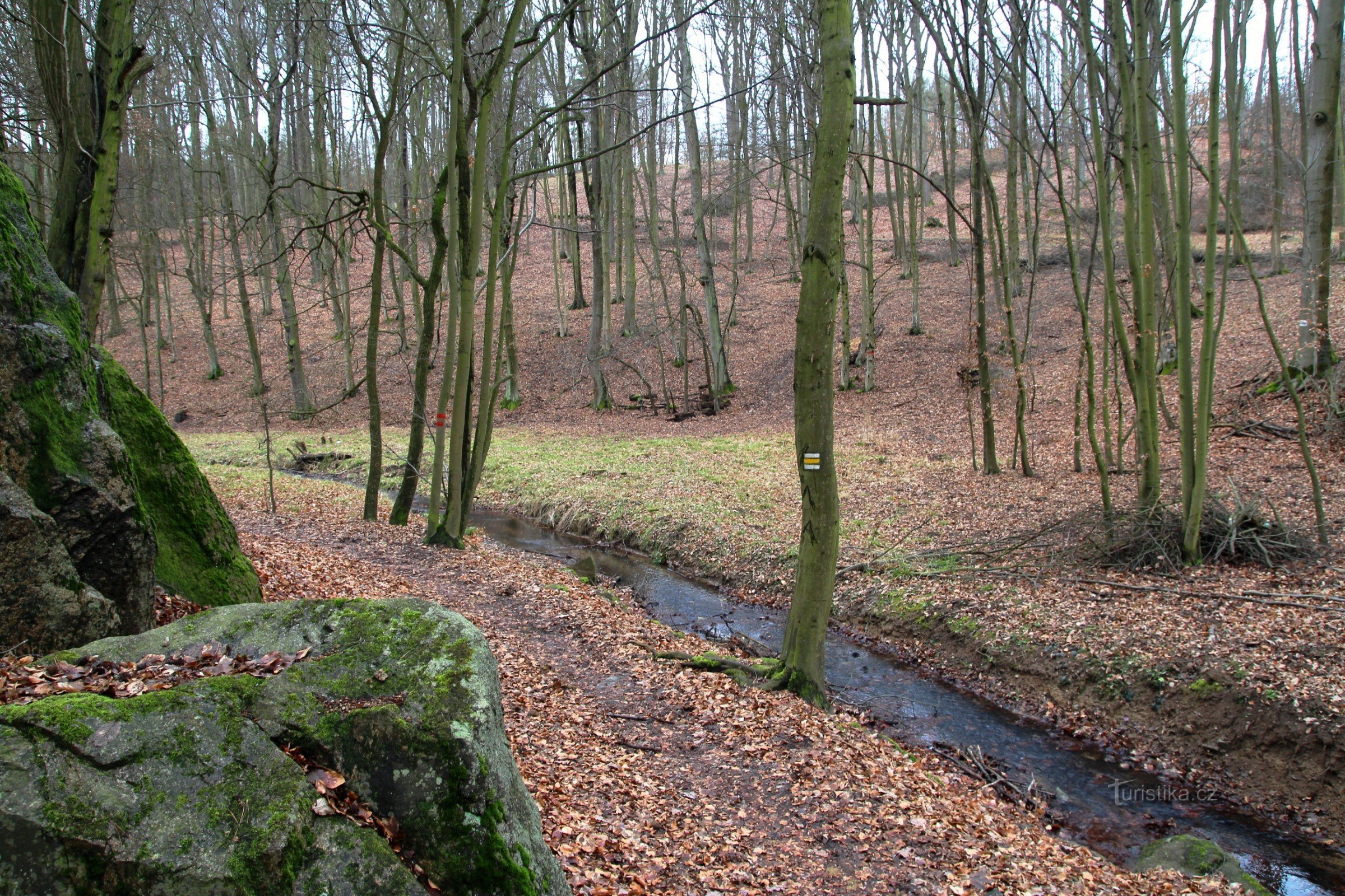 Rock outcrops in the valley of the Augšperské stream, a hiking trail leads around the stream