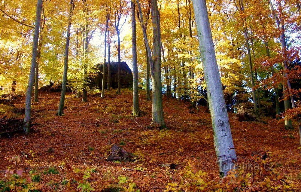 Attractions rocheuses près de Mladcová près de Zlín