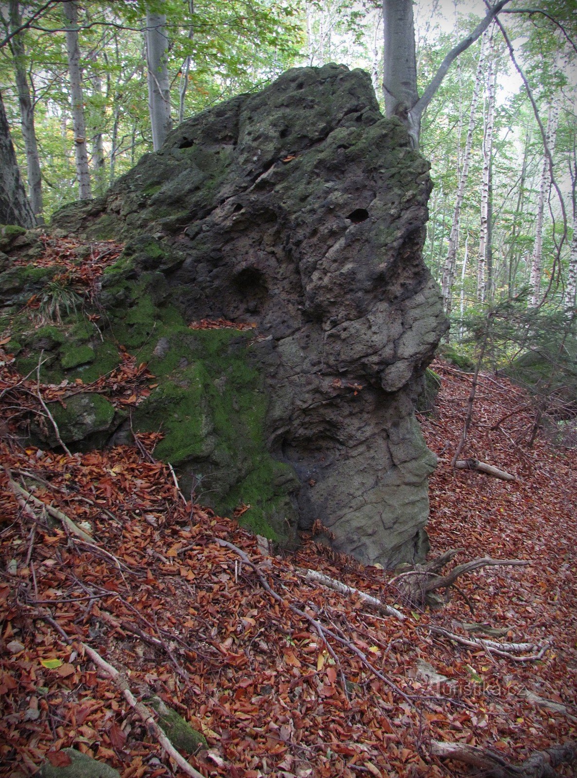 Skalný - Alemmat kivet