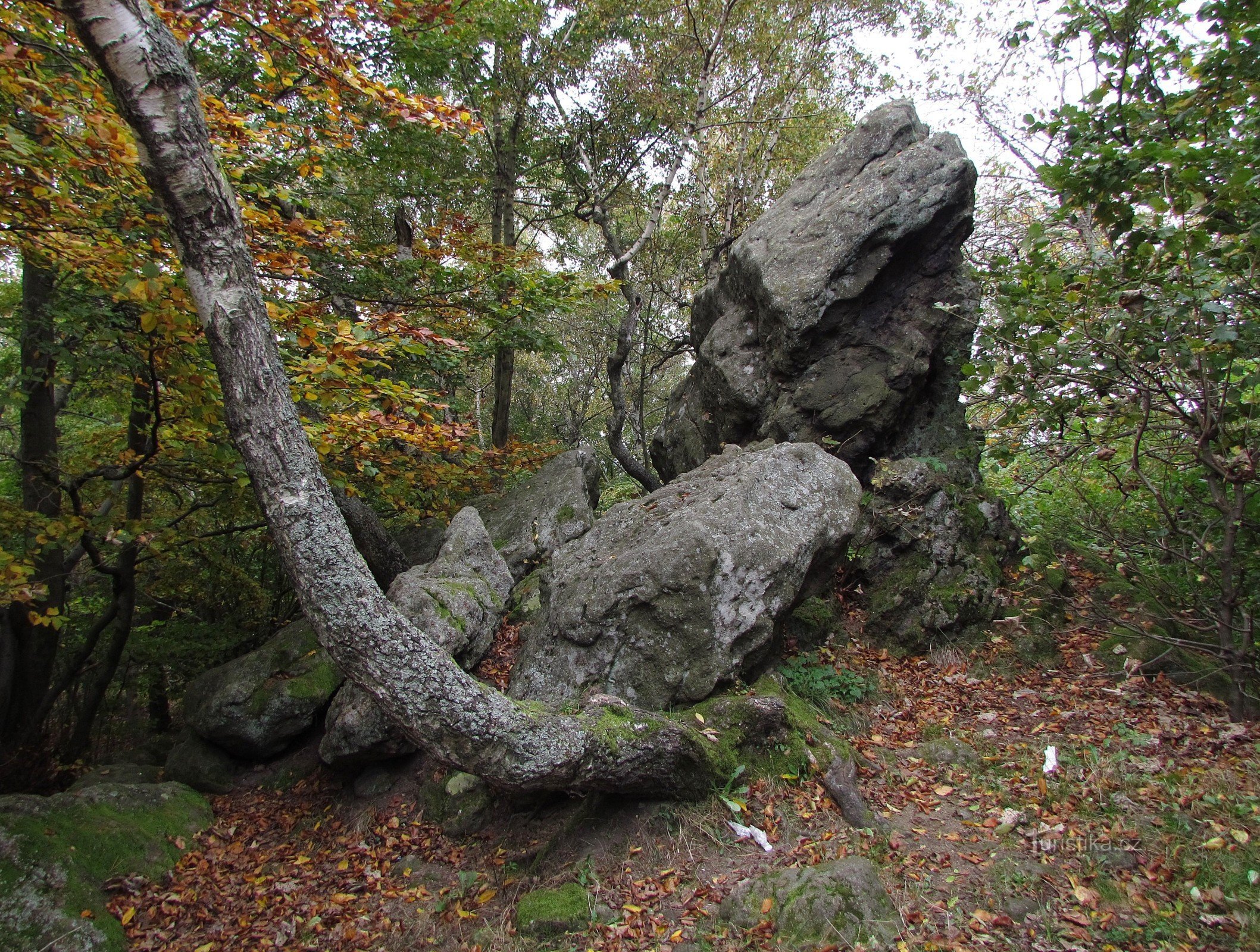 Rocky - Mellemstore sten