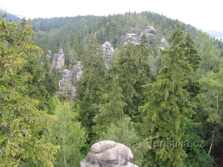 Felsen