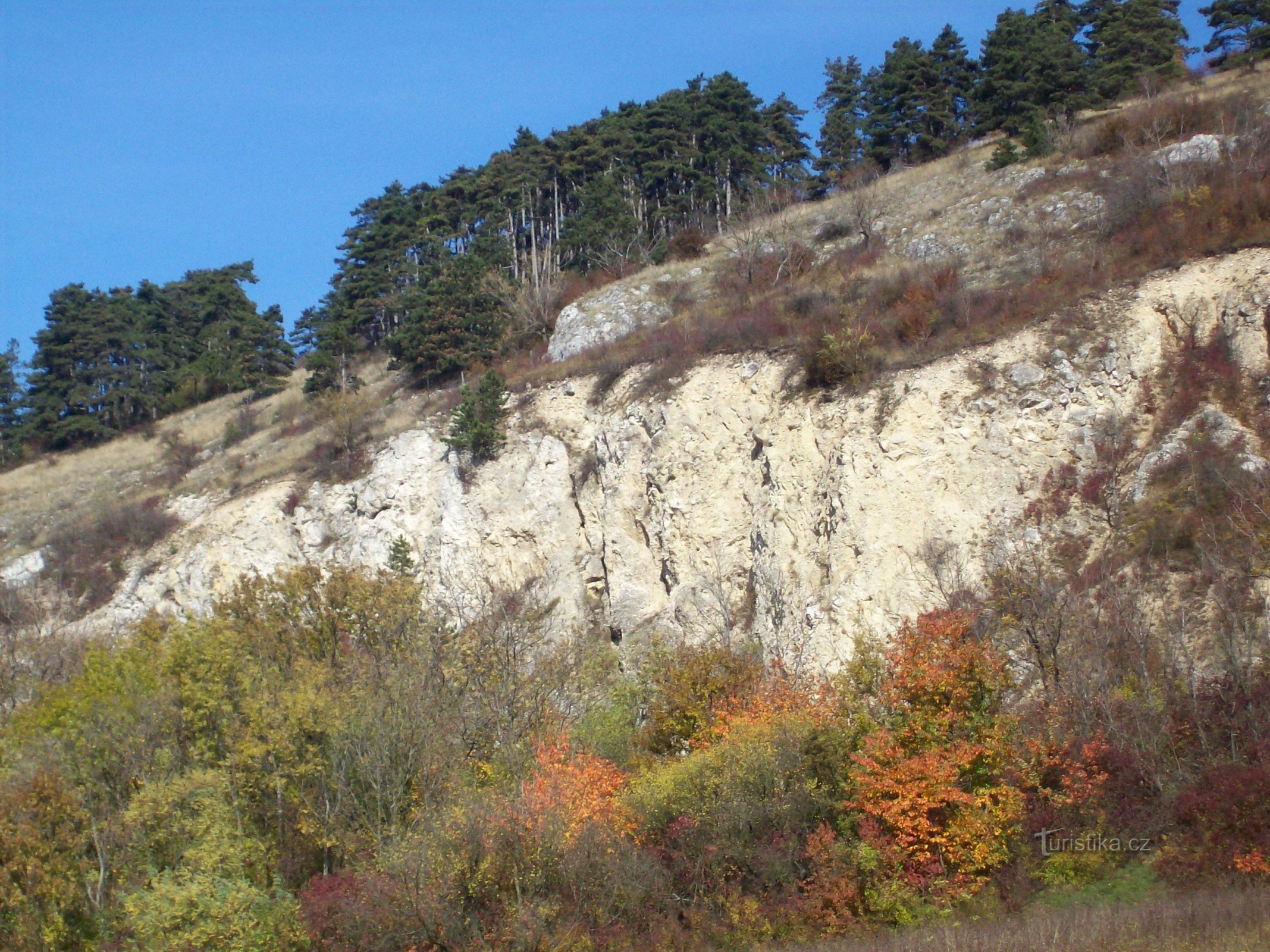 Stenar och tallskog på Pálava Hill