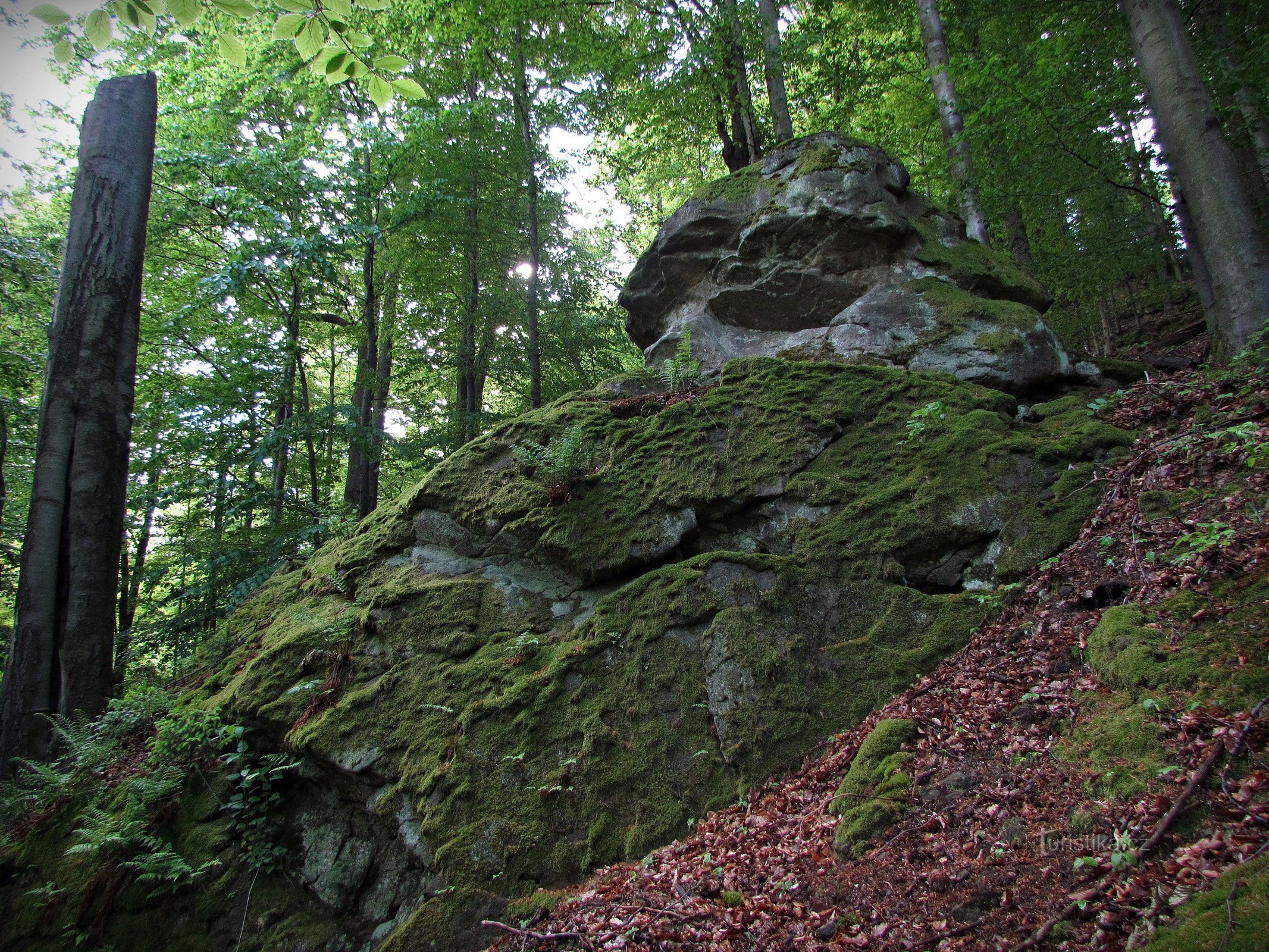 Bludný Felsen und sein Wald