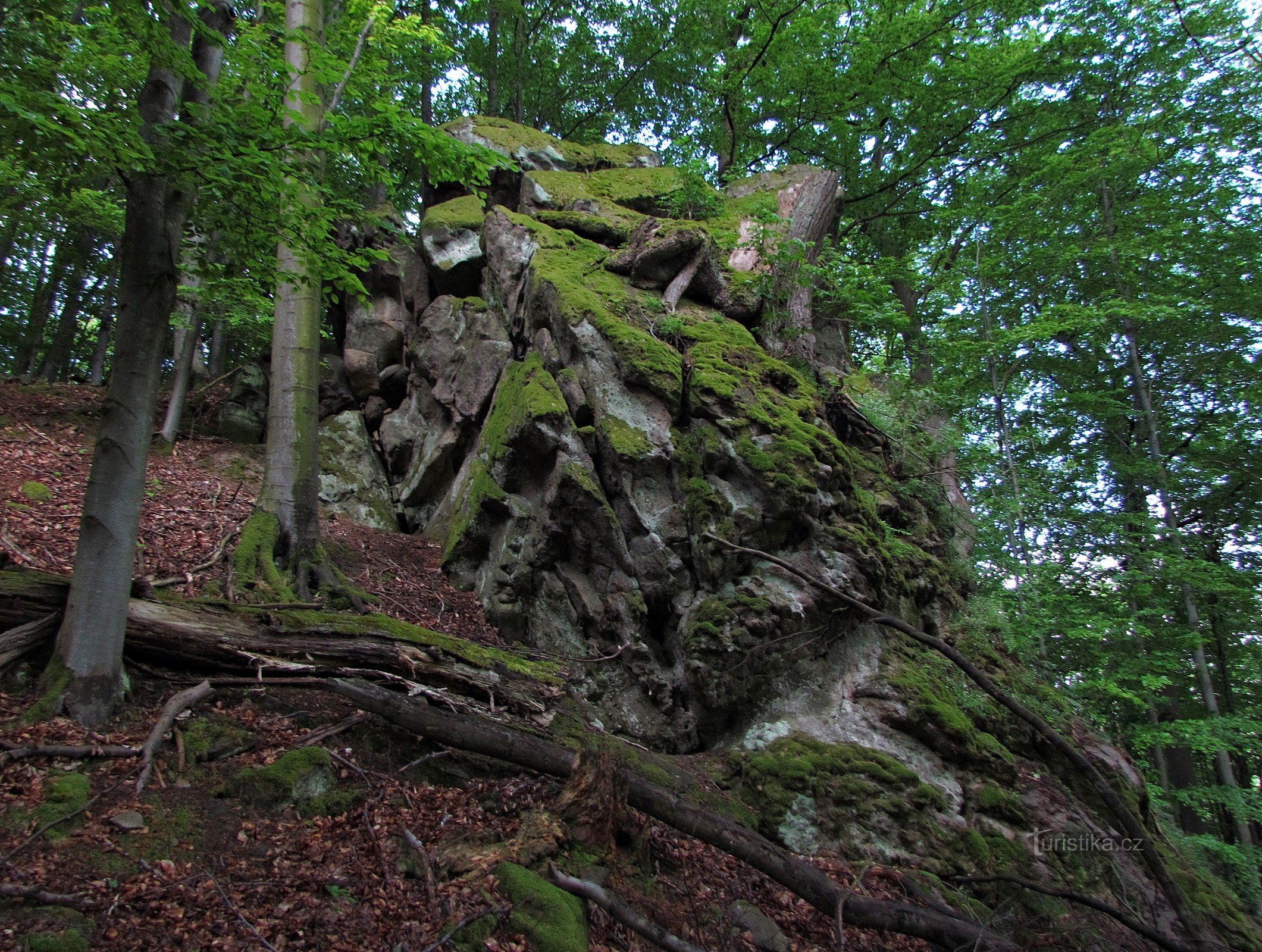 Bludný rocks and its forest