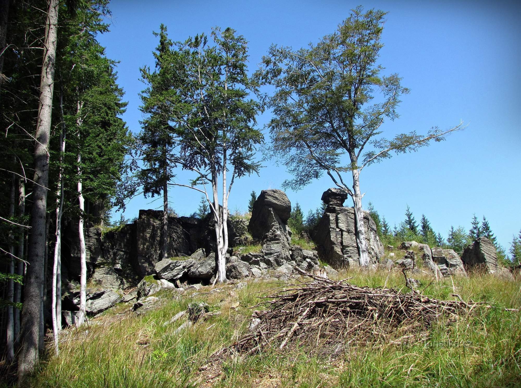 Rocce mancanti da maps.cz - Area di Hrubé Jeseník