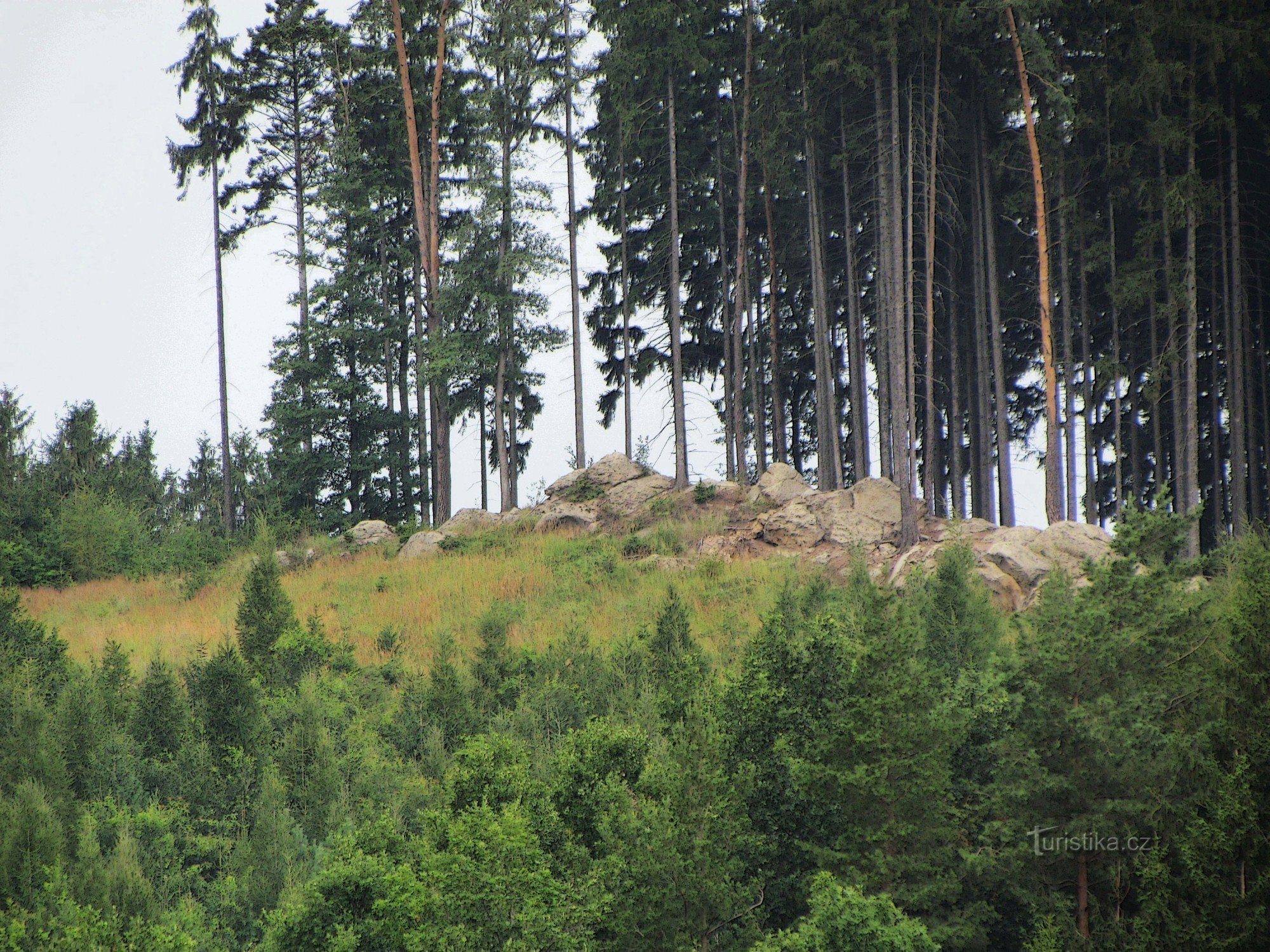 Rocas de Hostýnské vrchy - 1. Růzová - 385.5 m