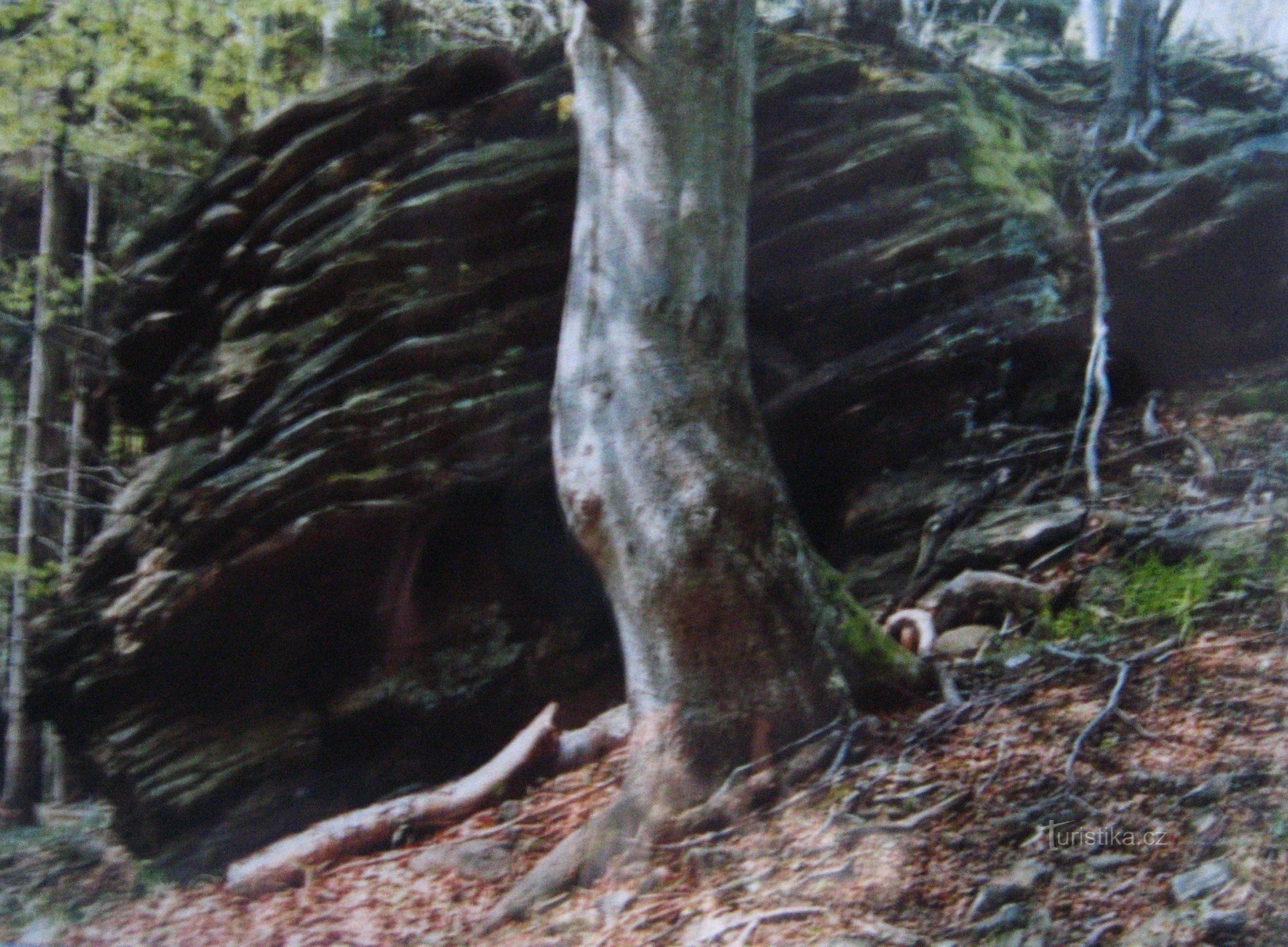 Rochers de Hostýnské vrchy - 13. Ehelník