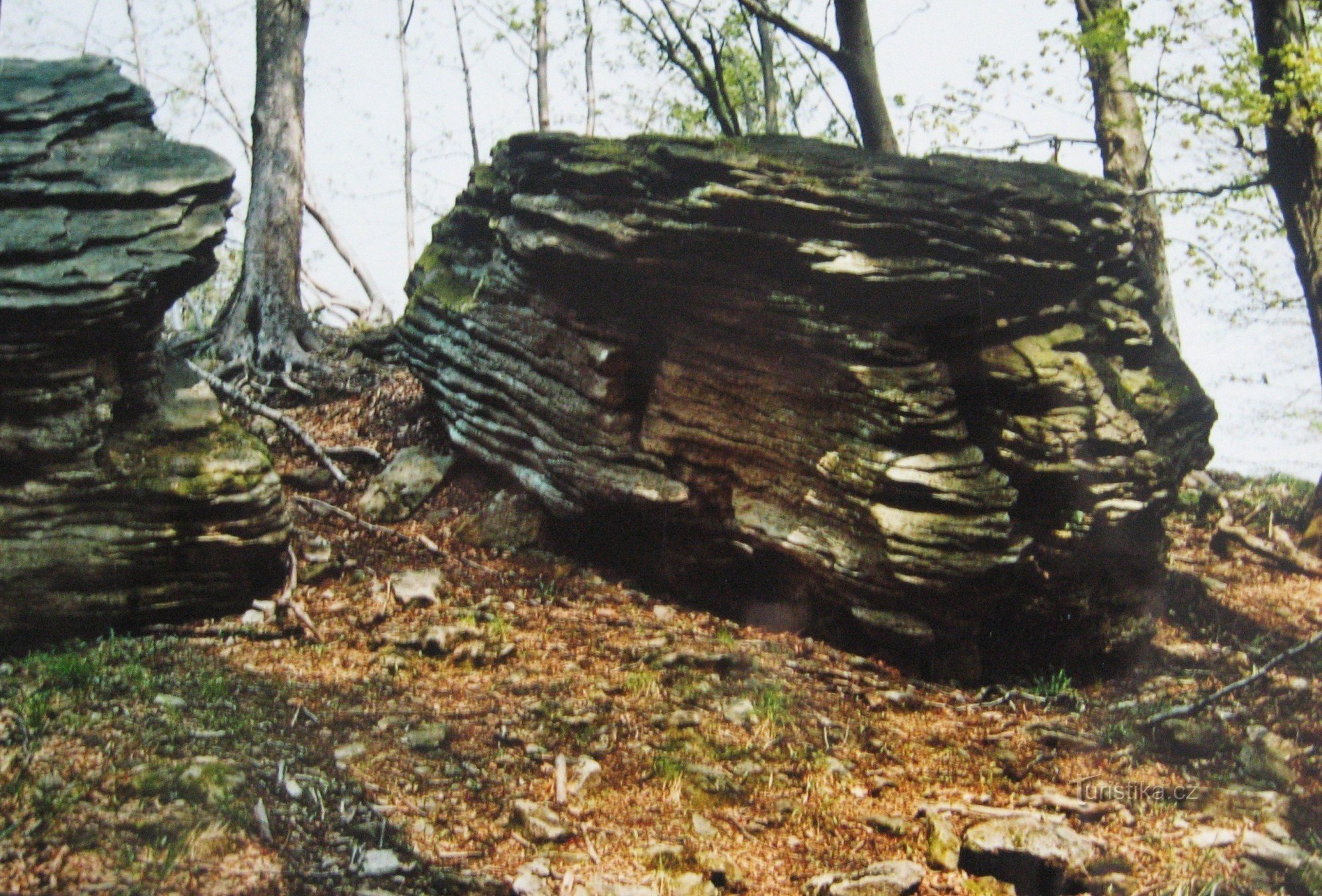 Rocks of Hostýnské vrchy - 13. Ehelník