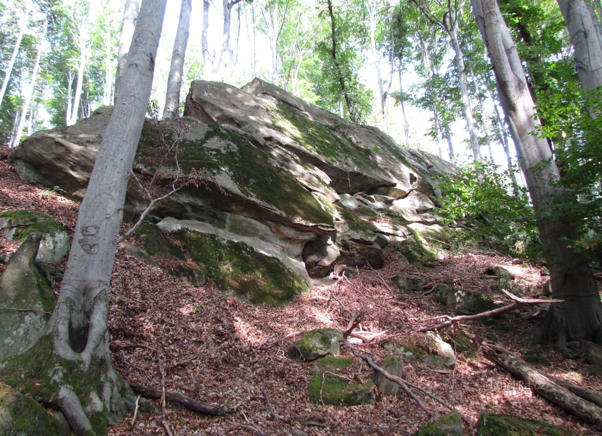 Felsen von Hostýnské Vrchy - 4. Delphin