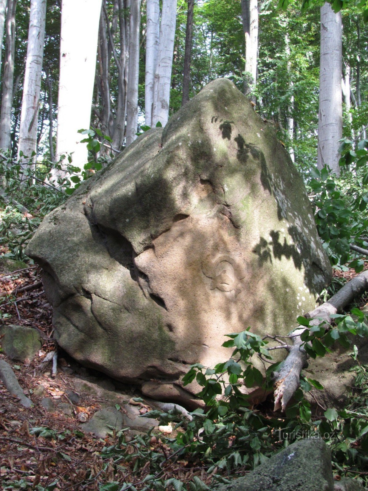 Rocks of Hostýnské Vrchy - 4. Dolphin