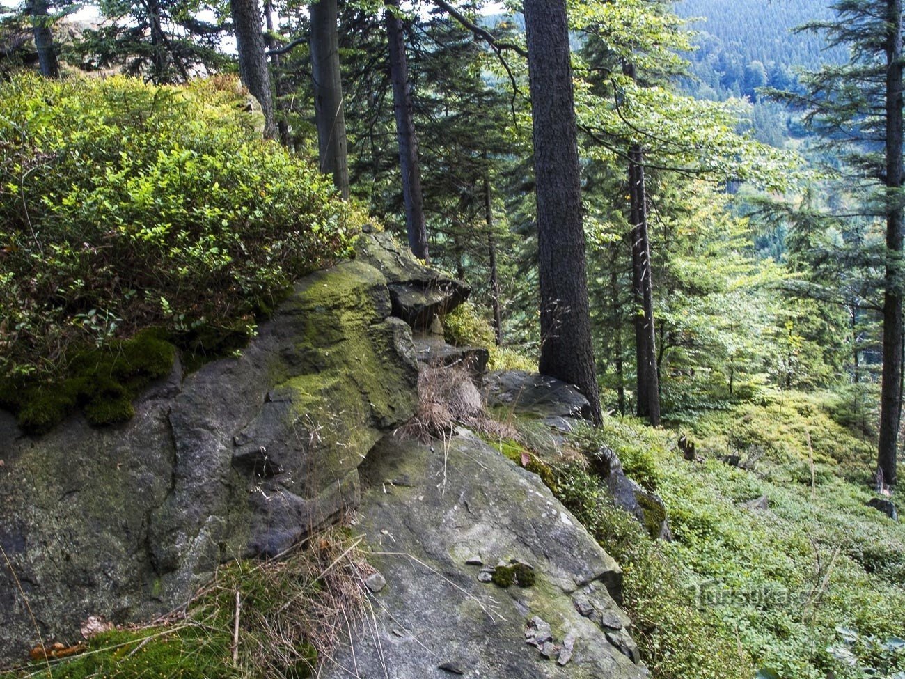 Die Felsen sind relativ leicht zugänglich