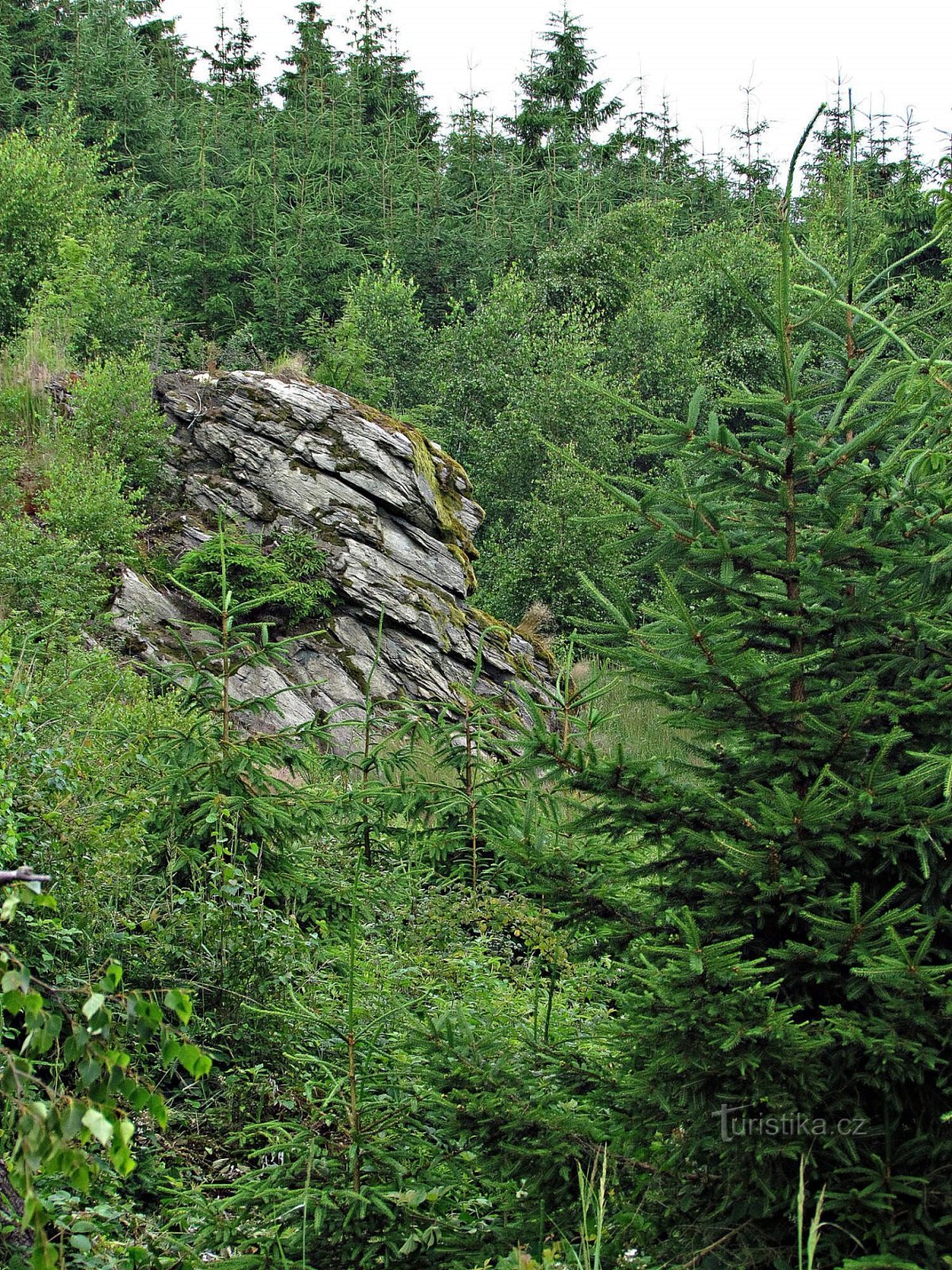 Koukalka-rotsen in de buurt van Chotěboře