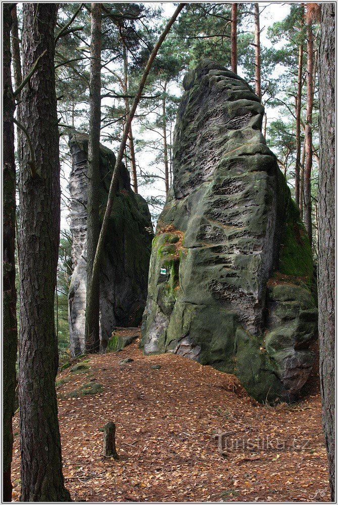 Skale na visokogorju