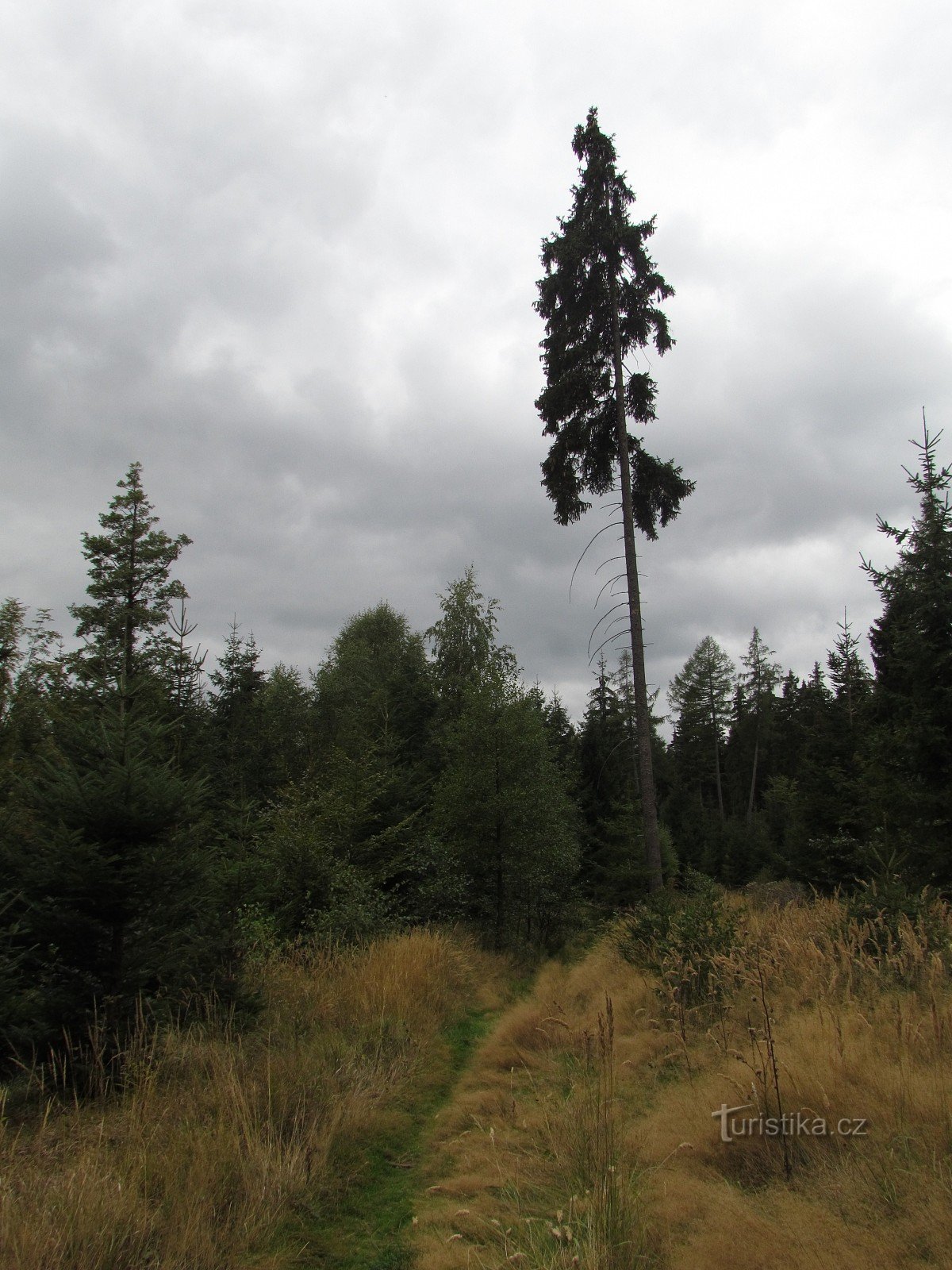 Felsen auf Suti oberhalb von Nova Vsí