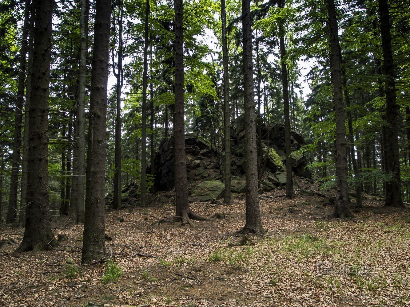 Rocks above Brutus