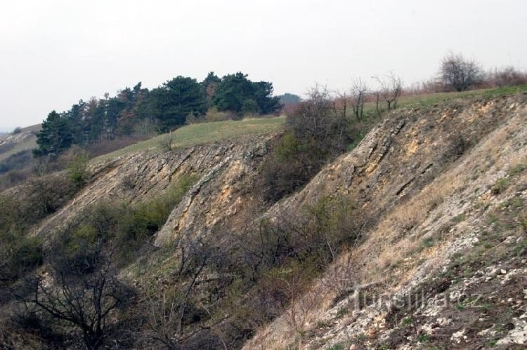 Felsen über Hlubočepy