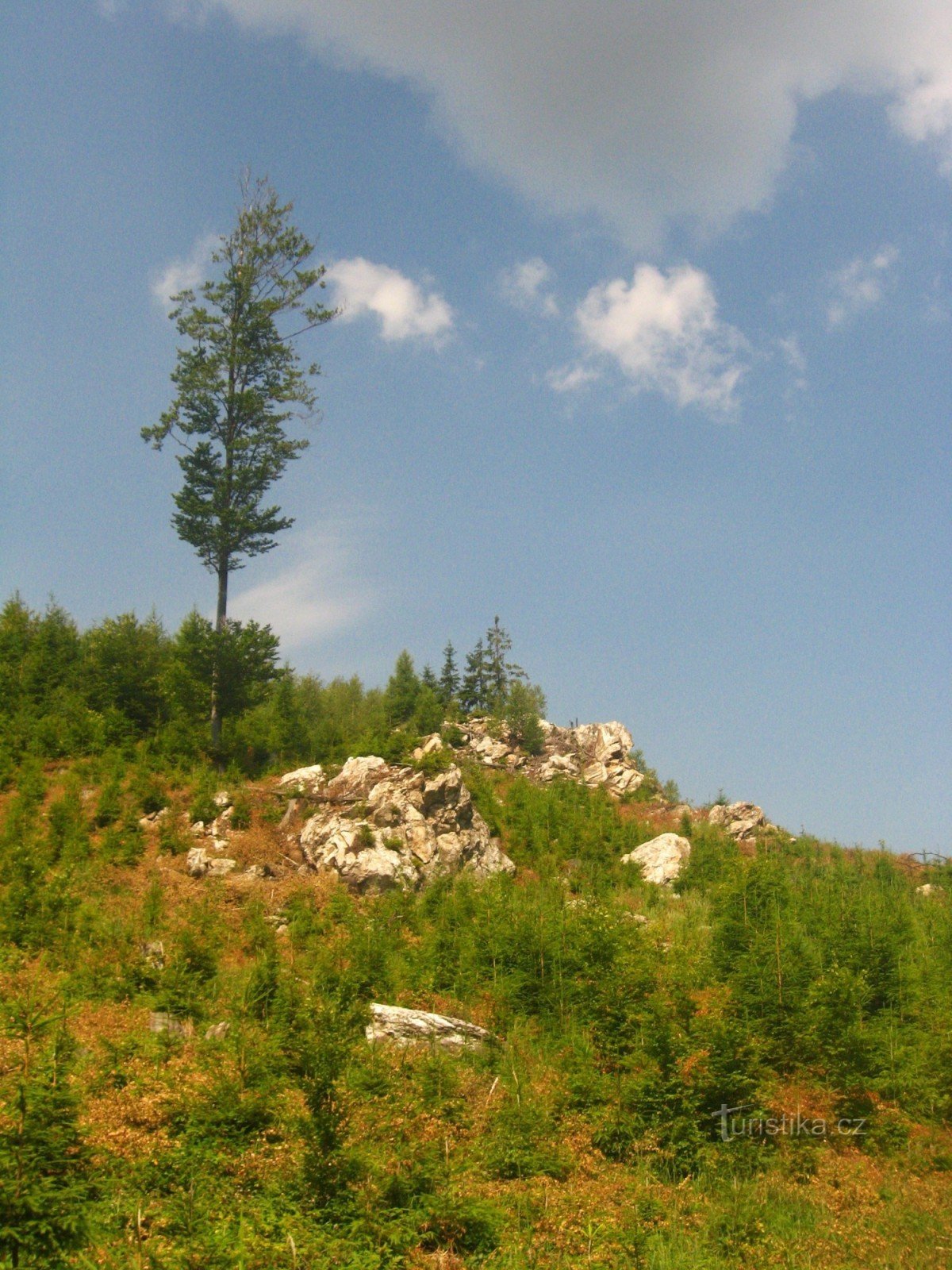 Felsen unter gestellt