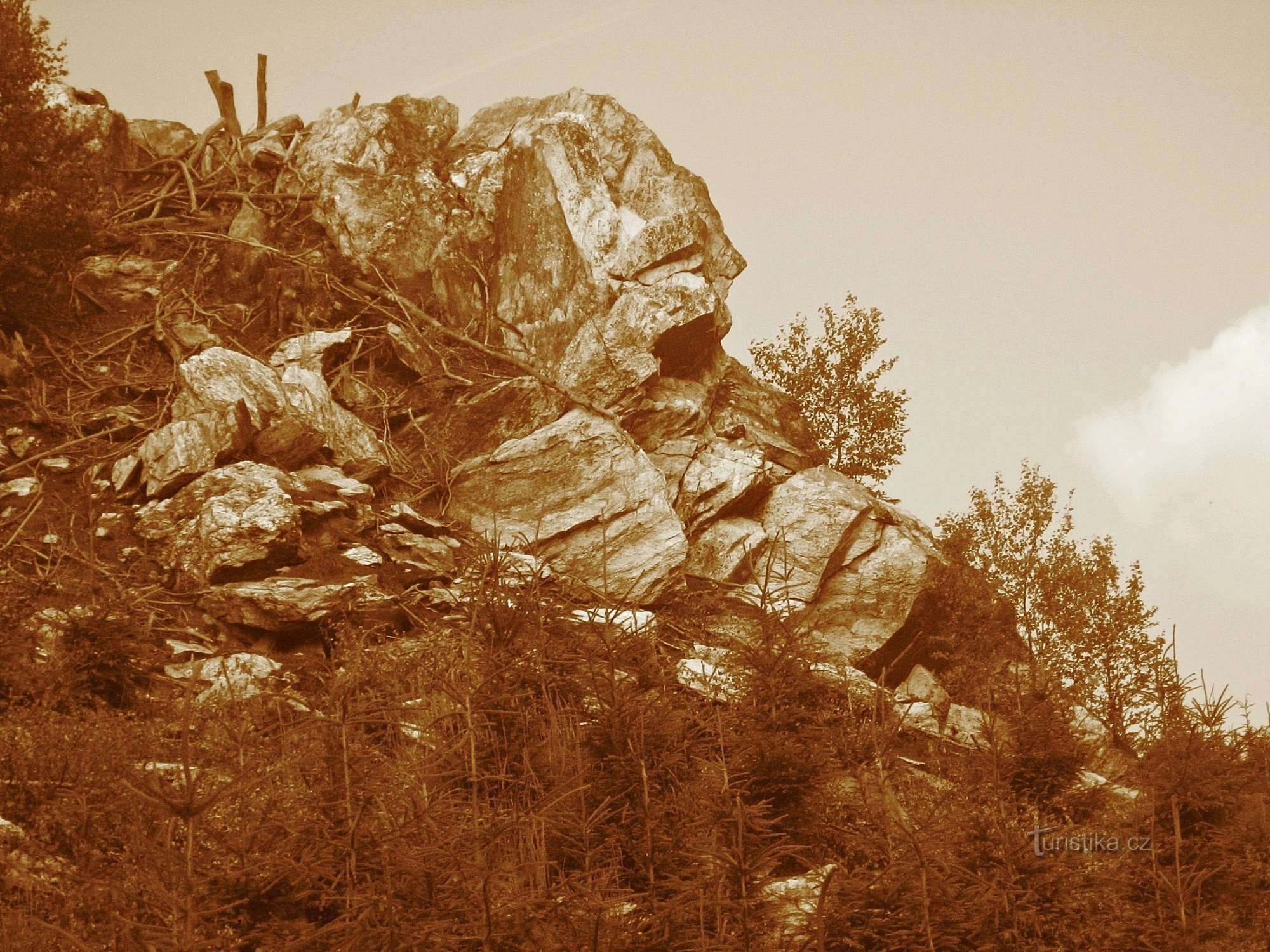 Skály pod Posedem (Weißer Felsen) - Altvatergebirge