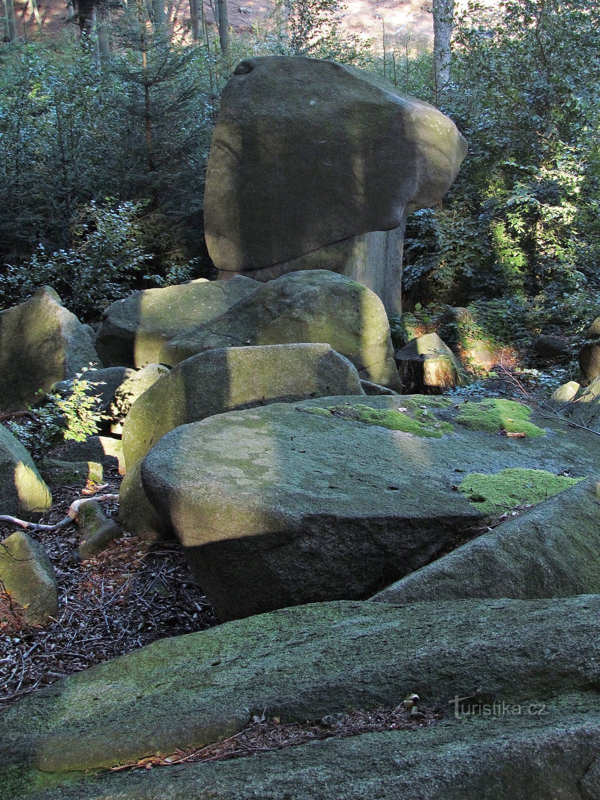 Rotsen, rotsen en kuddes van de Granite Hill