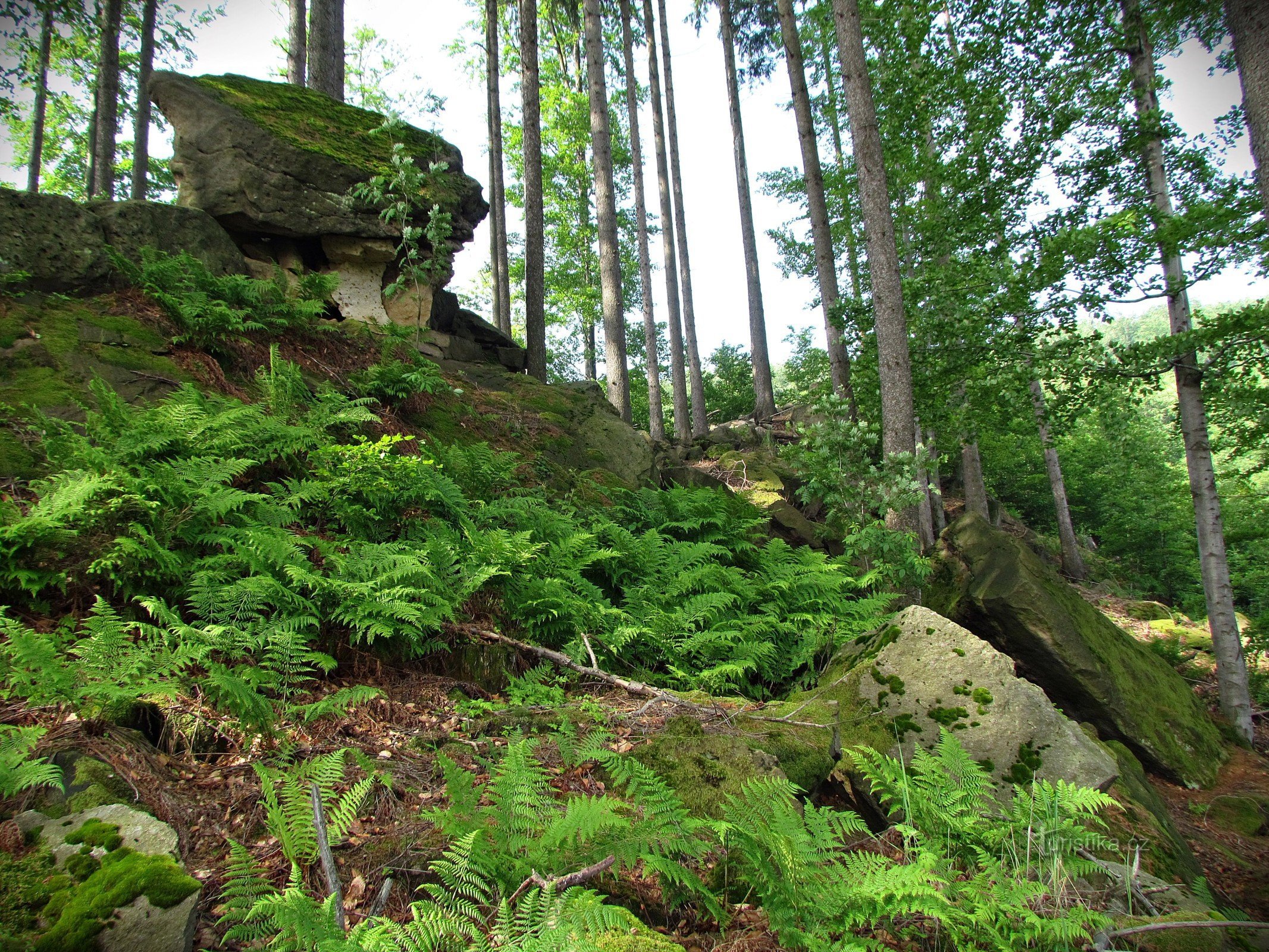 Klipper nær Hošťálková - Devil's Castle