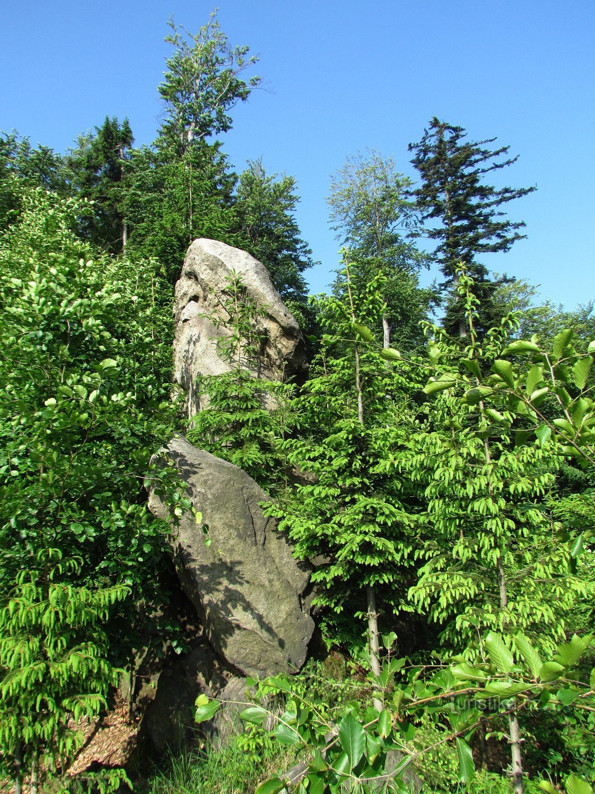 Felsen bei Hošťálková - Rarášek