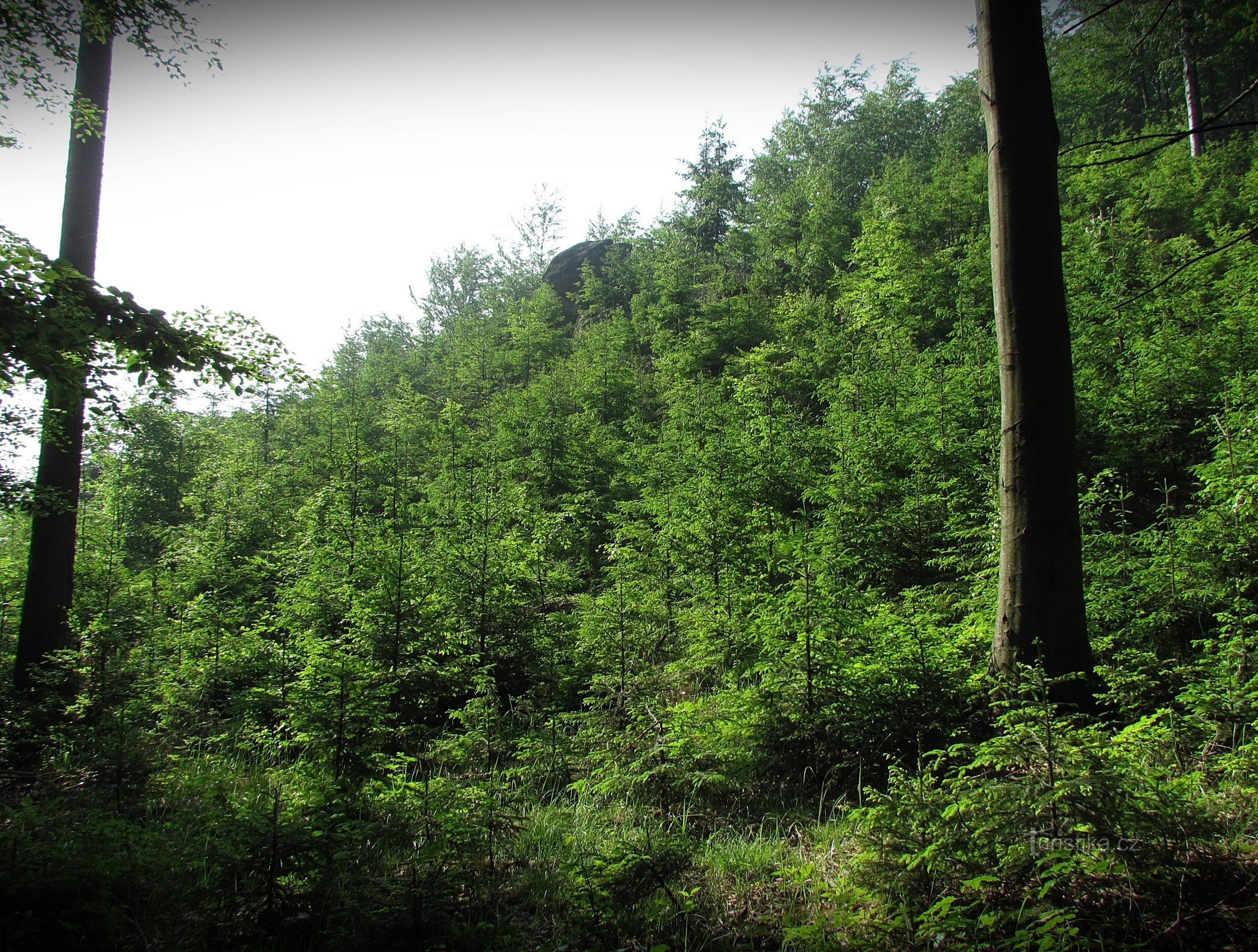 Felsen bei Hošťálková - Rarášek