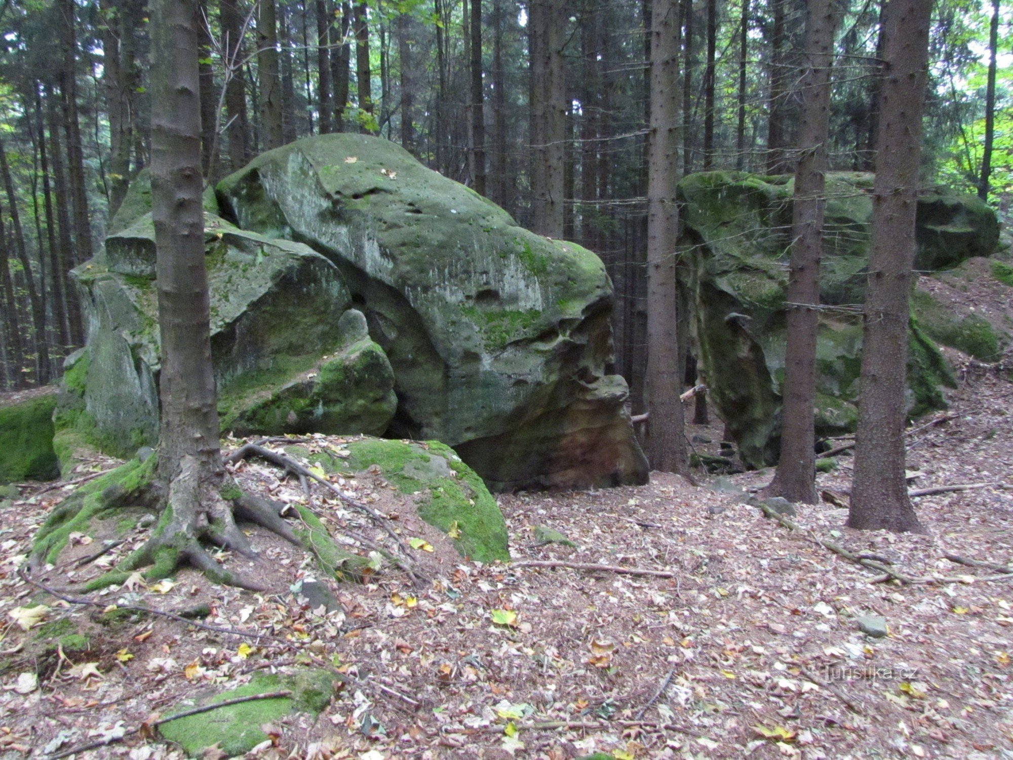 Skály U Juránků I - rockarvinge