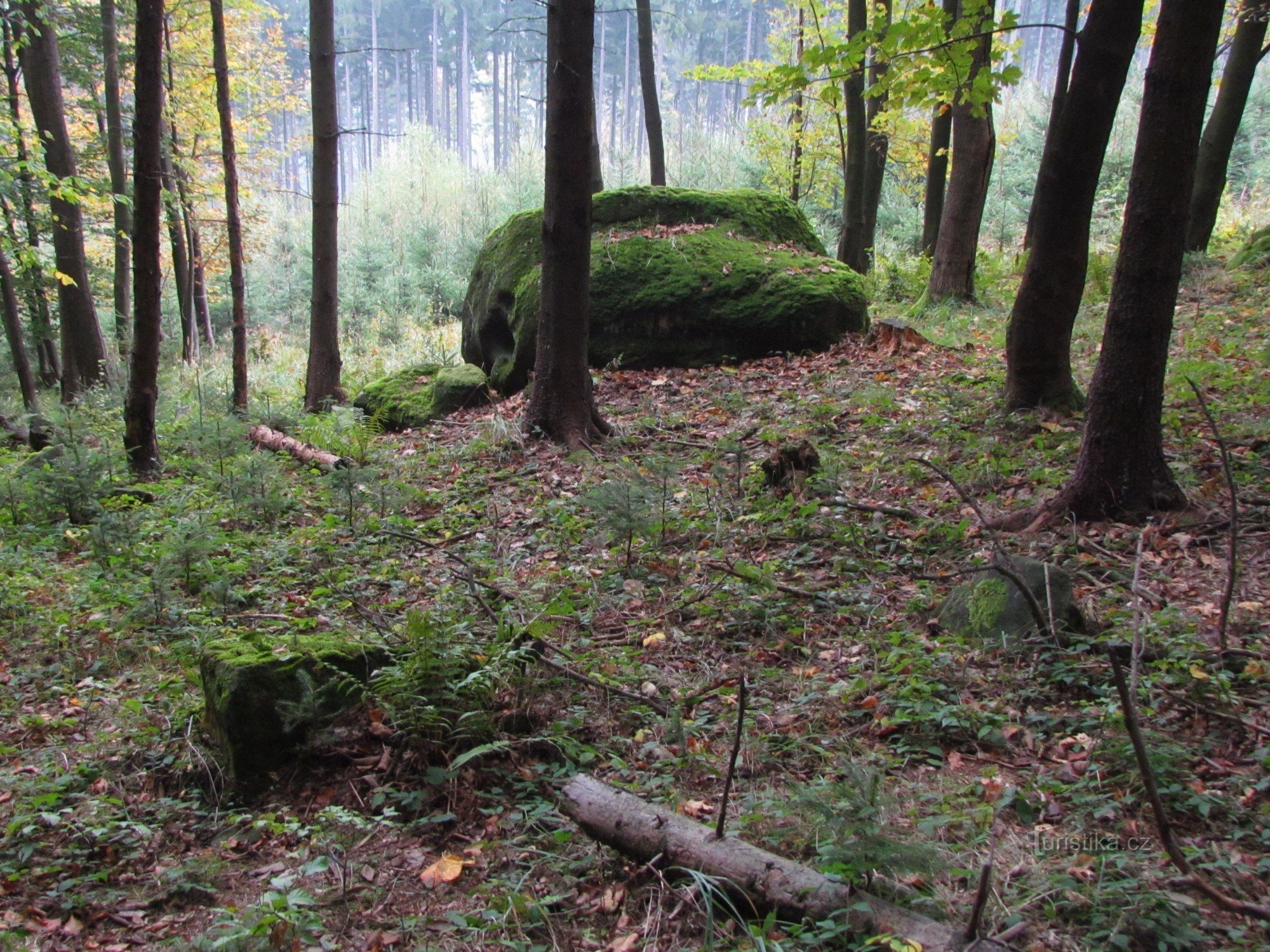 Skály u Juránků II - rocky ridge