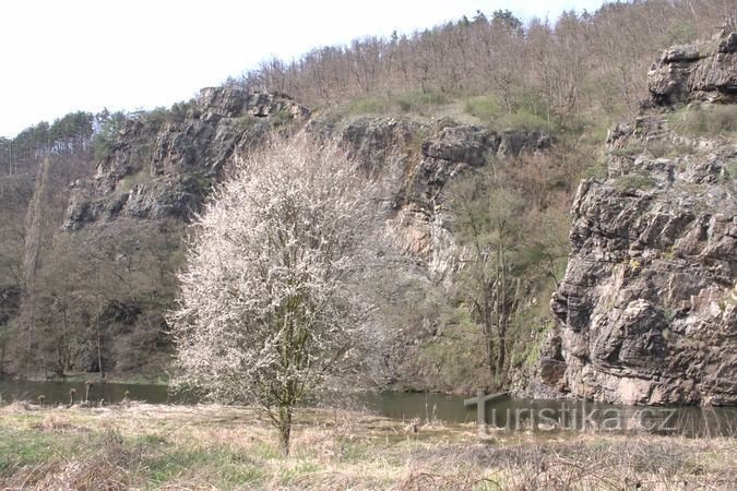 Felsen bei Pustý mlýn