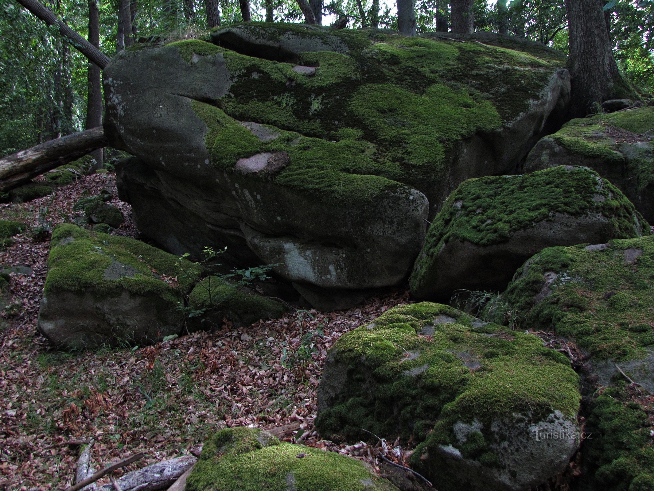 Скелі в південній частині PR Sochová