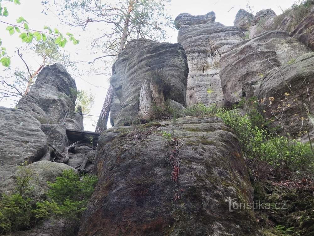 rocks in the Kyjovské valley