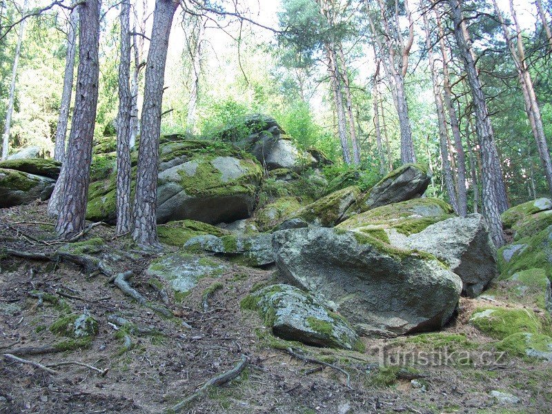 Sten i skoven