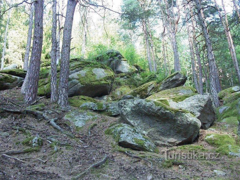 Felsen im Wald