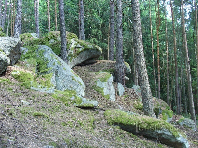 Felsen im Wald